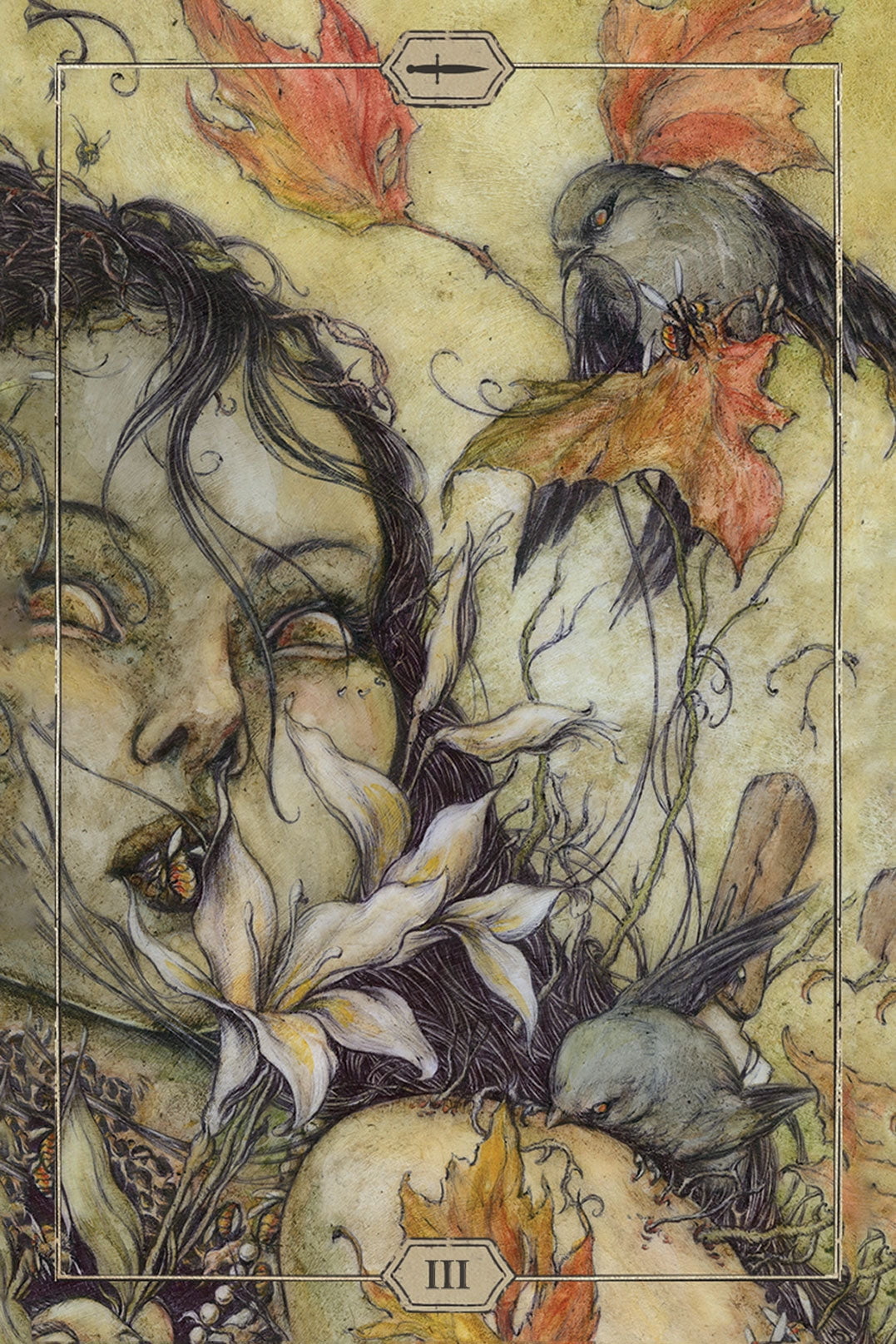 Jeremy Hush Tarot Deck (Hardcover, 78-Card Set) gm33e