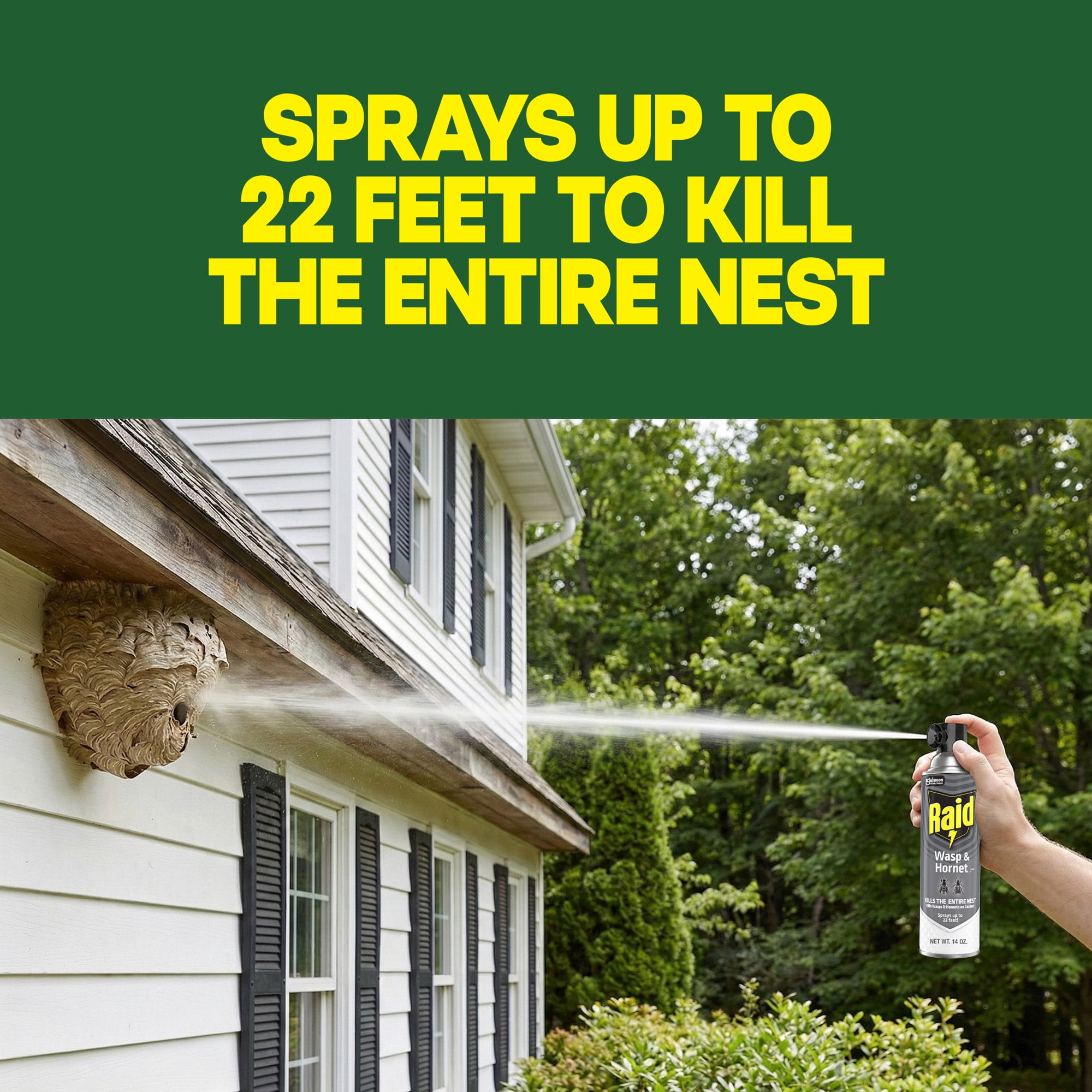Raid Wasp and Hornet Killer 33 Outdoor Insecticide Spray (2 Pack, 14 oz each) 3e5kk