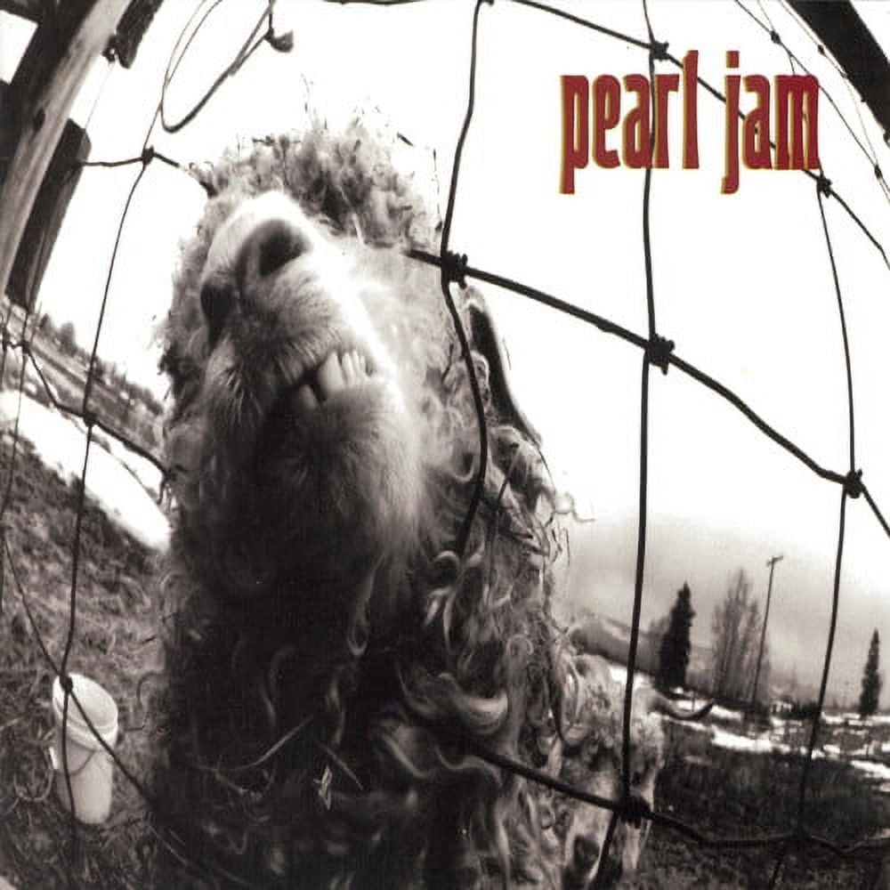 Pearl Jam Vs. Original Studio Album Audio CD (Standard Edition) 06dc2