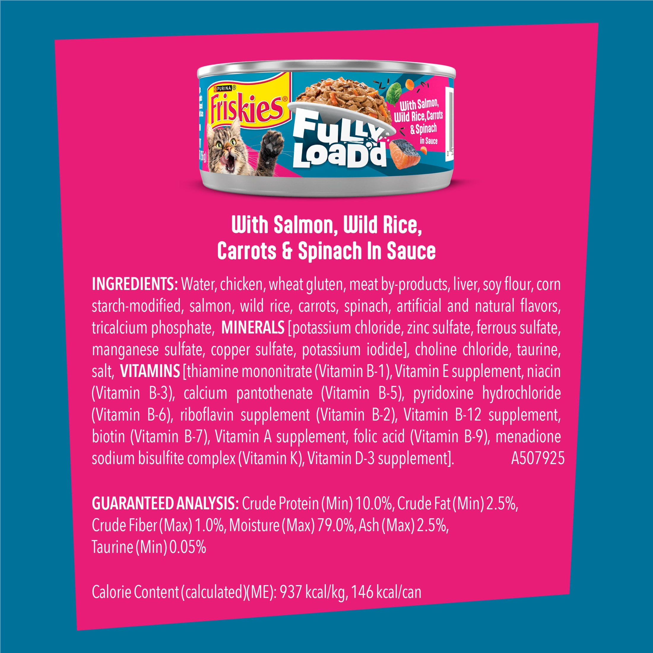 Friskies Lil' Soups Wet Cat Food Salmon Recipe (Savory Broth, 5.5 oz) ww4yn
