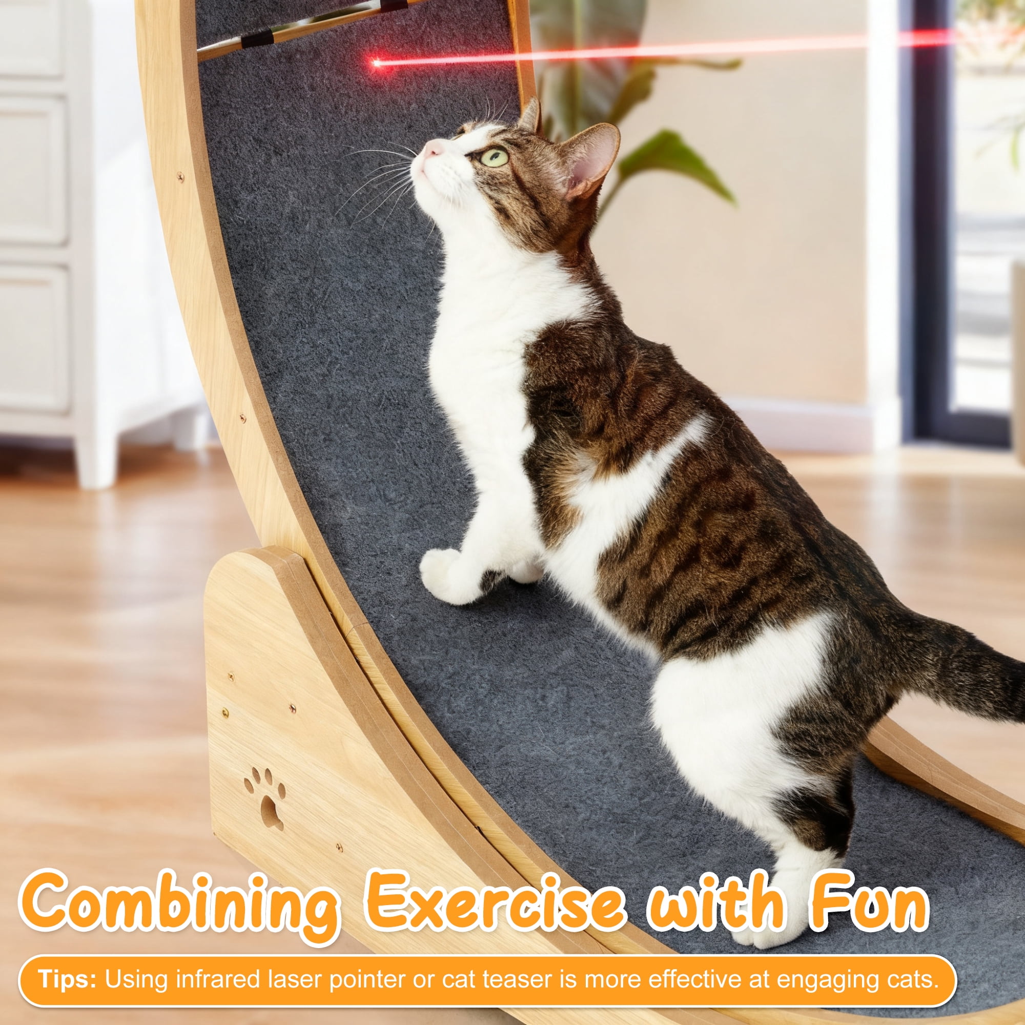 JXXRZ 5-in-1 Cat Exercise Wheel and Activity Center, Silent Indoor Cat Treadmill with Scratching Pad (43.7 in) 70ka7