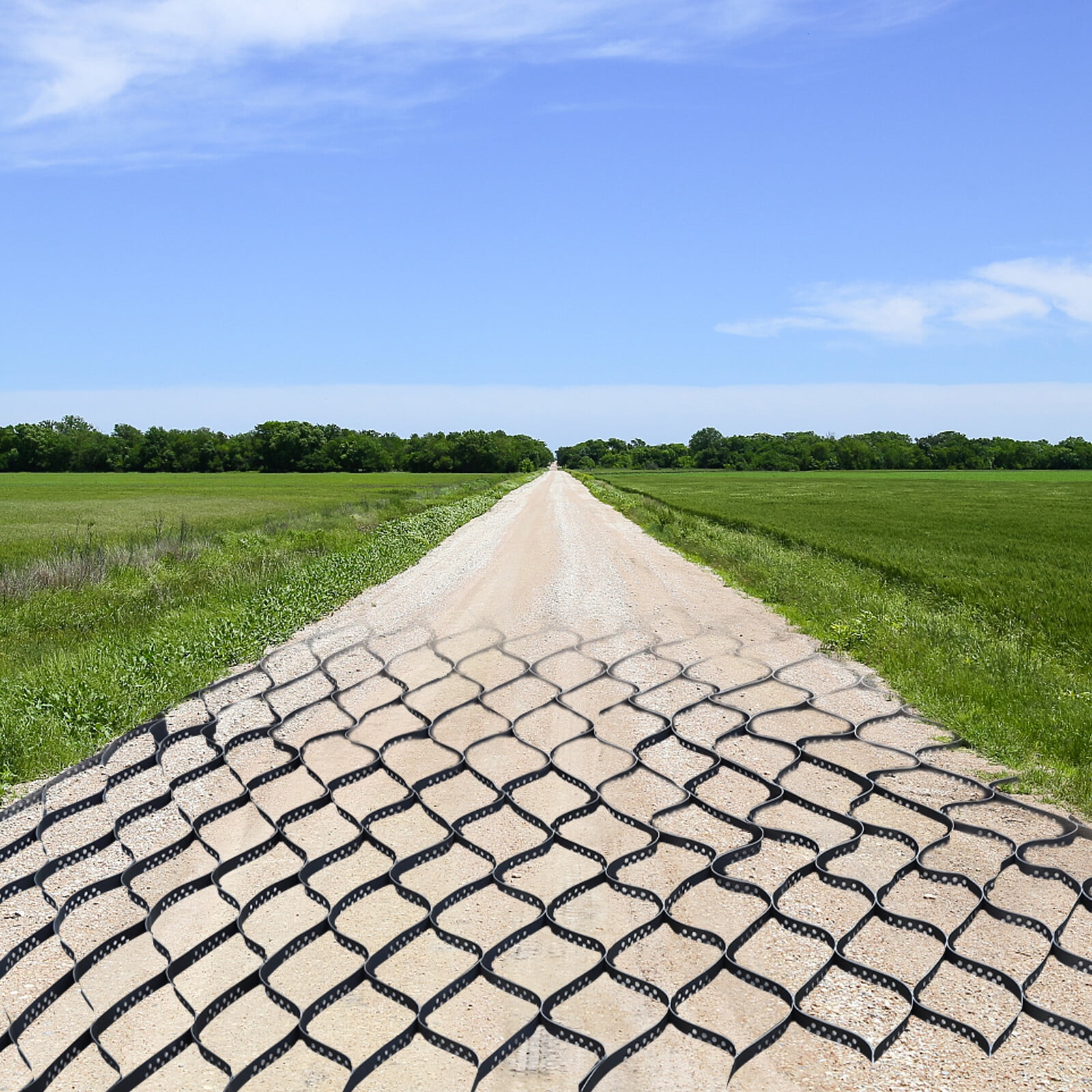 Generic Geo Grid Mesh for Gravel Driveway and Walkway Stabilization (Black, 160 sq ft) eut8n