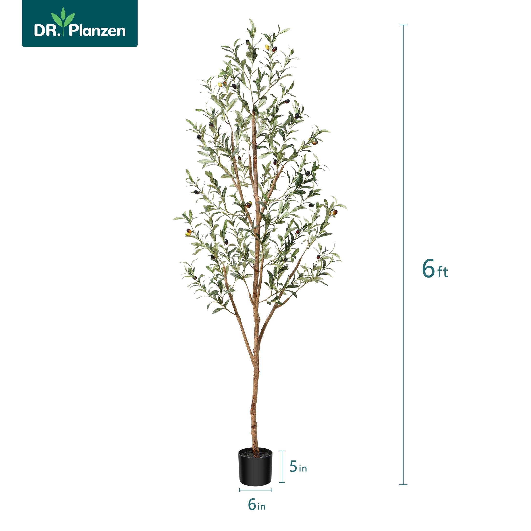 DR.Planzen Artificial Olive Tree with Realistic Leaves and Natural Trunk (Black, 6 ft) mzel6