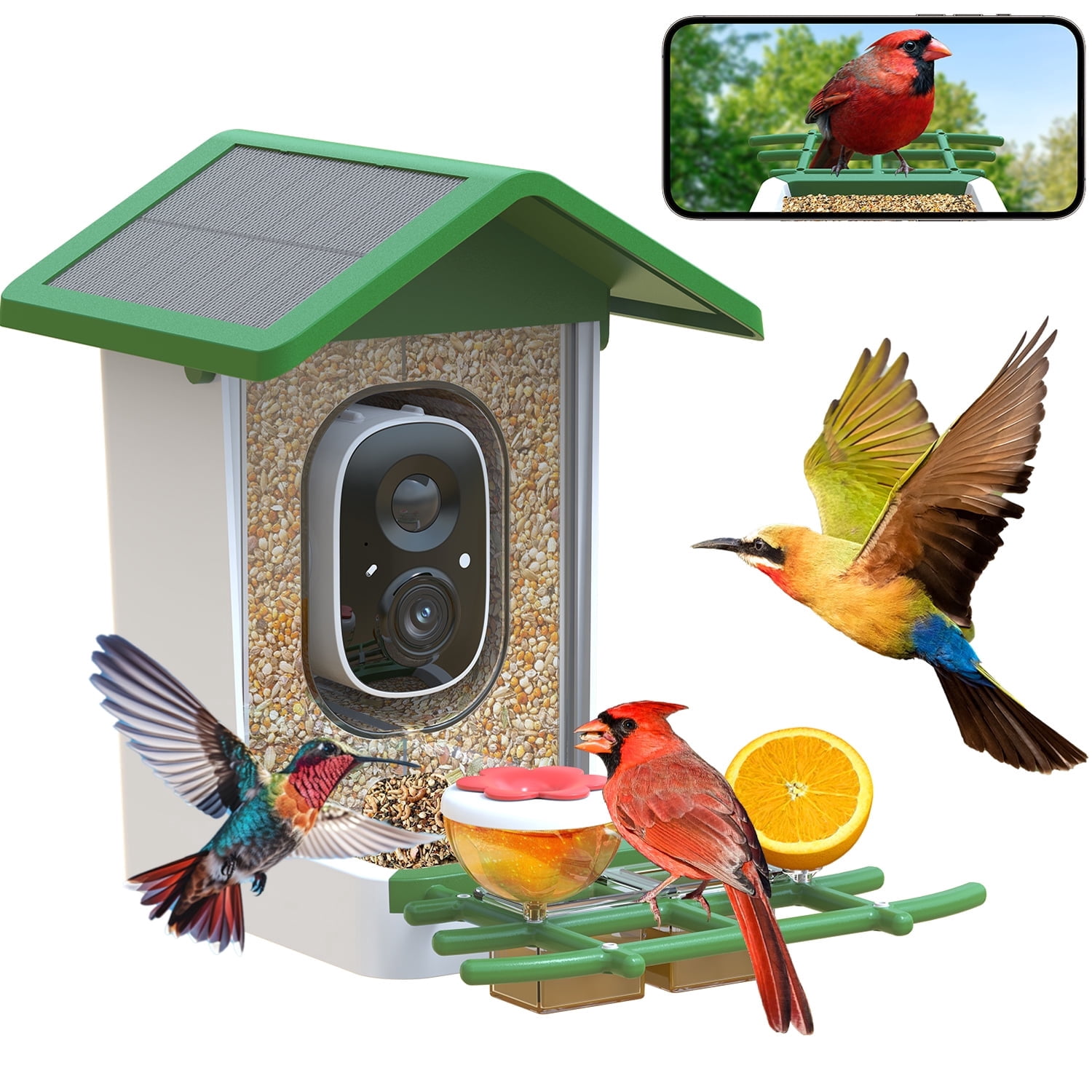 MADTASK Smart Bird Feeder with Camera, Solar Powered Outdoor Wireless WiFi Birdhouse with AI Recognition (Green, 1 Pack) nvml9