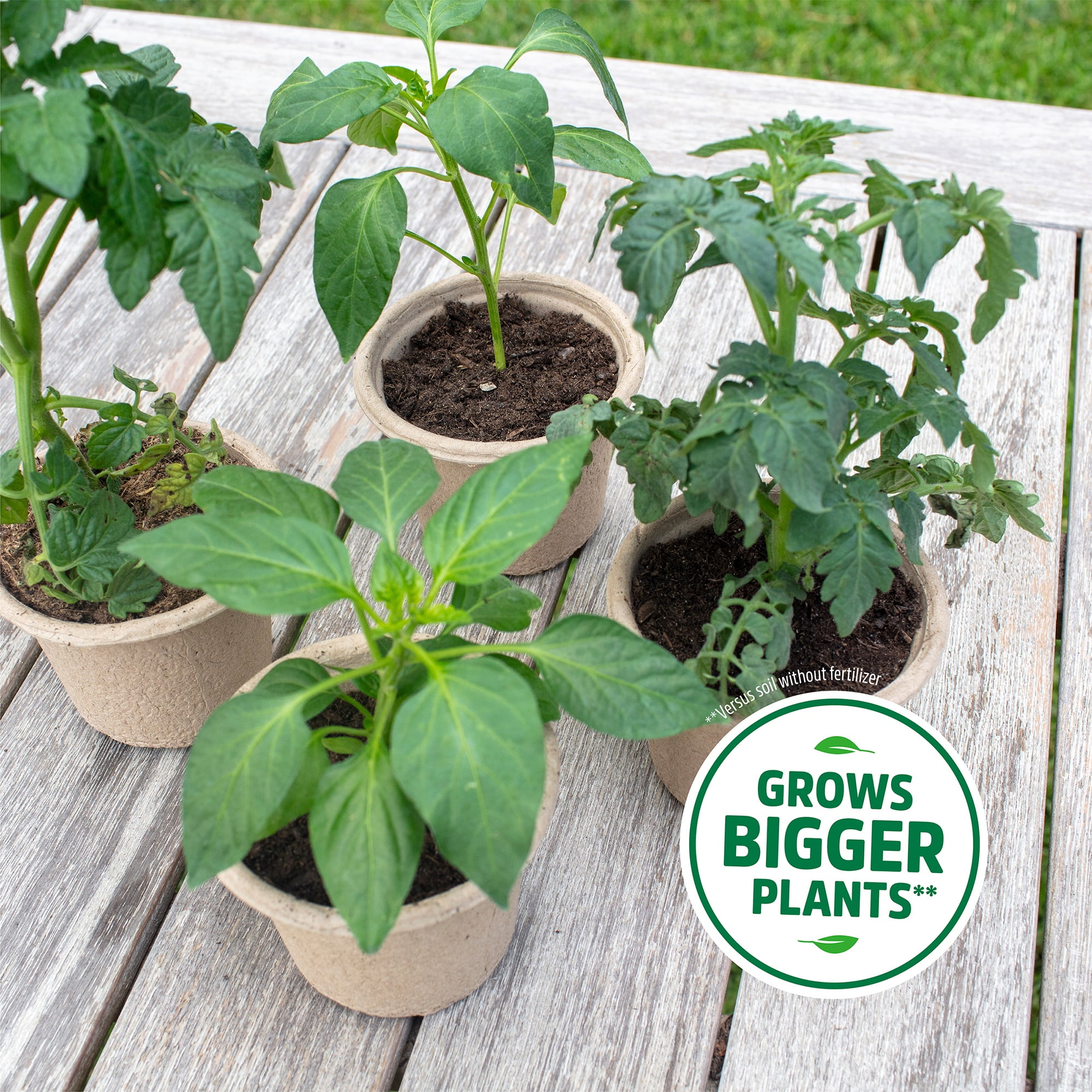 Back to the Roots Organic Seed Starting Mix, Premium Soil Blend for Seedlings (6 qt) uf64f