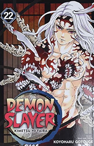 Koyoharu Gotouge Demon Slayer: Kimetsu No Yaiba Vol. 22 (Paperback) vkh4o