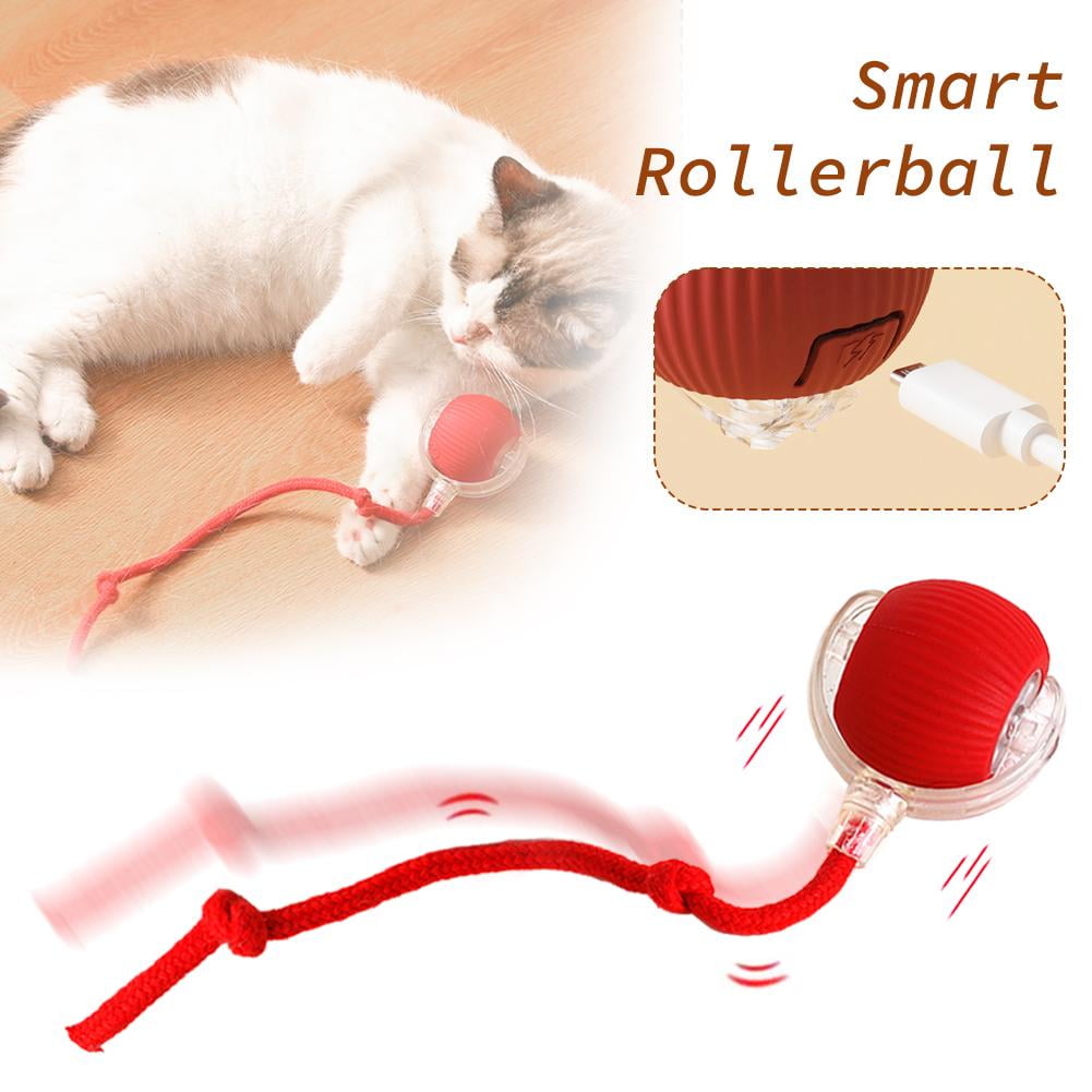 Wmool Interactive Cat Toy Ball, Motion Activated Electric Rolling Toy with LED Rainbow Lights and Long Tail (USB Rechargeable, 3 Working Modes) i0n26
