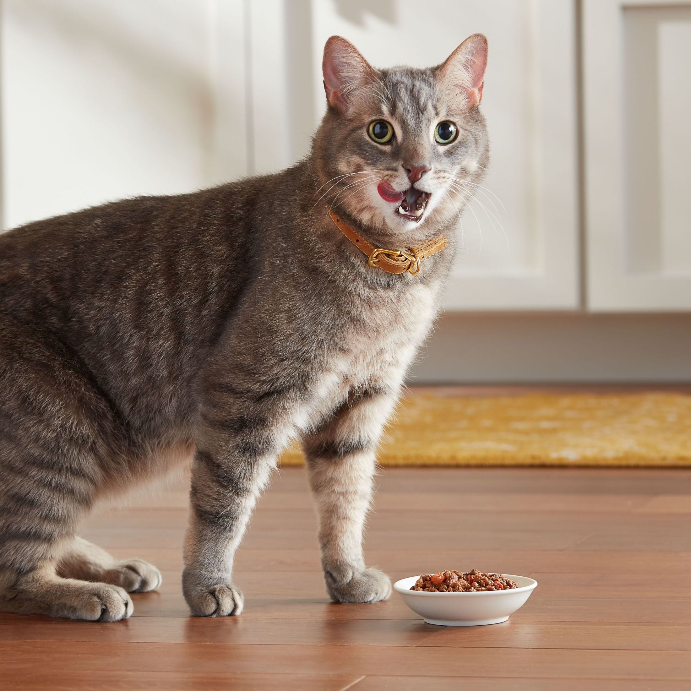 Meow Mix Tender Favorites Wet Cat Food with Real Tuna and Whole Shrimp (2.75 oz) vt2uh
