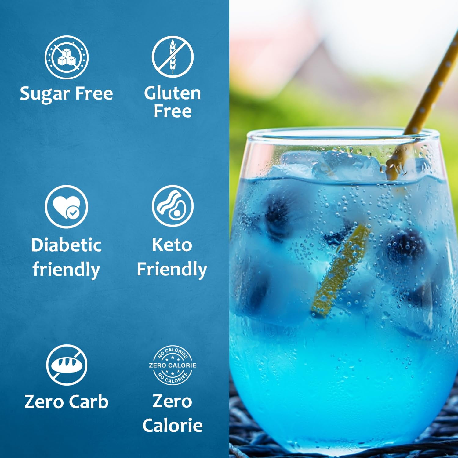 Syruvia Sugar Free Blueberry Coffee Syrup, Zero Calorie Flavoring for Lattes, Shakes, and Desserts (Blueberry, 25.4 fl oz) 3bbqk