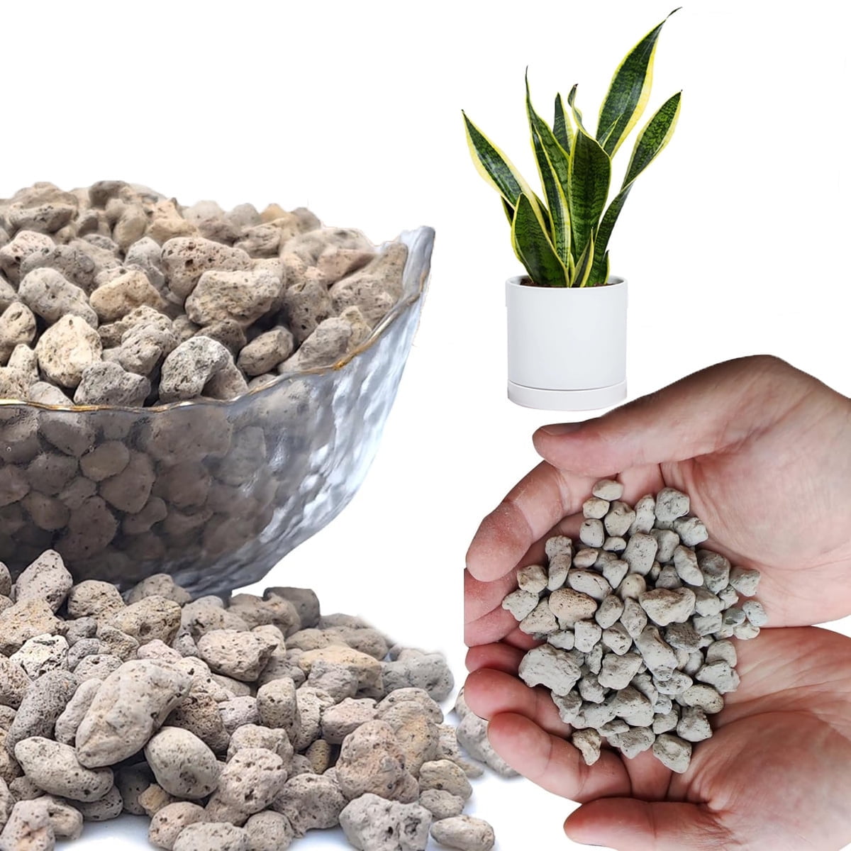 GIXUSIL Horticultural Pumice for Plants, Succulent and Bonsai Soil Amendment, Aeration and Drainage Rock (3/8 in, 0.5 lb) oeqby