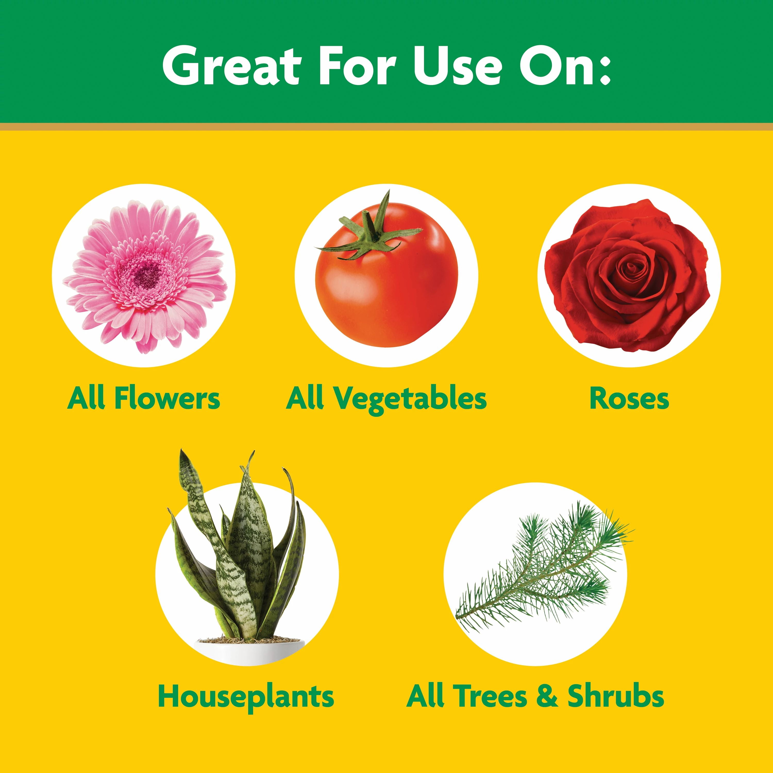 Miracle-Gro Water Soluble All Purpose Plant Food, Nutrient-Rich Fertilizer for Indoor and Outdoor Plants (5 lb) o2tap