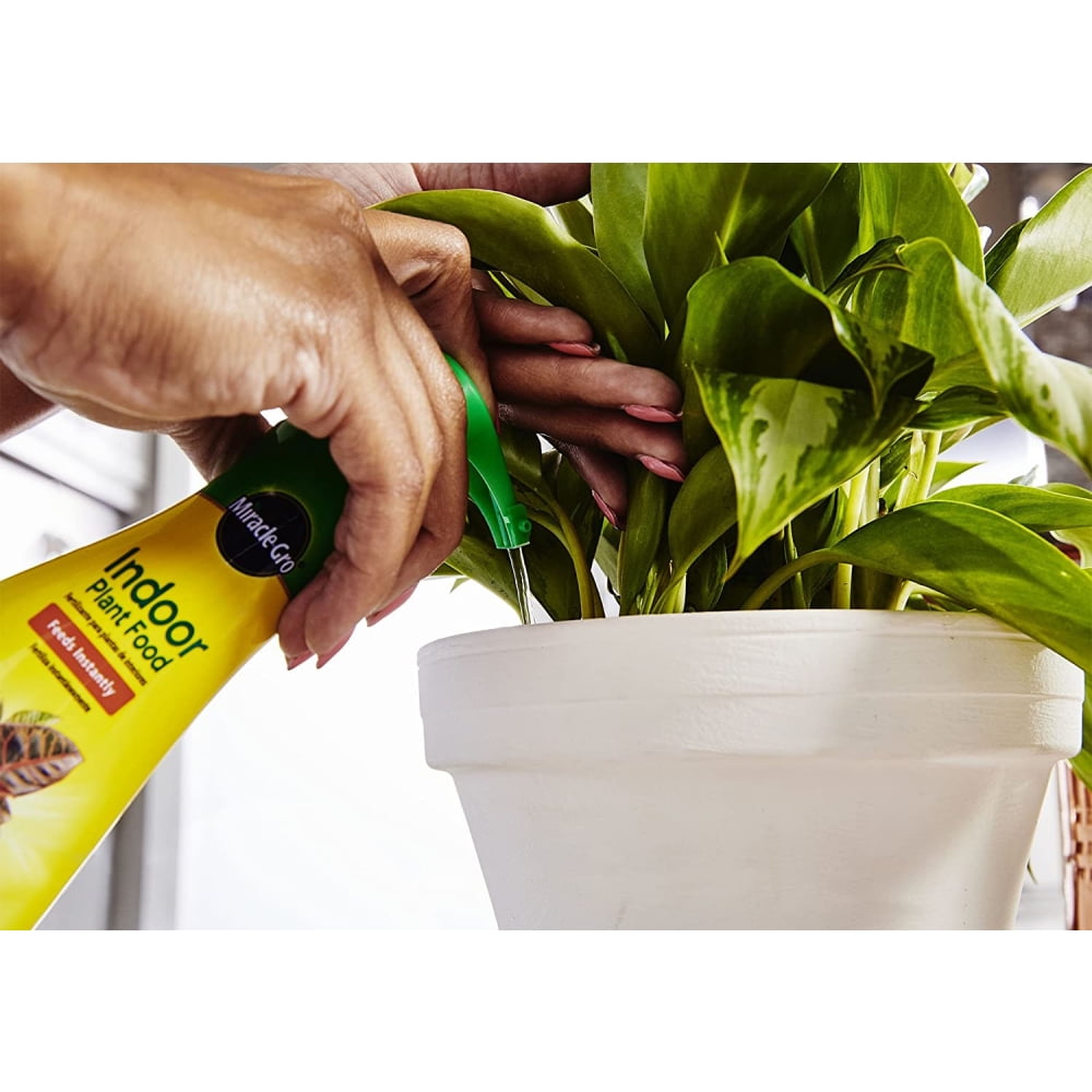 Miracle-Gro Indoor Plant Food Fertilizer Liquid Nutrient (8 fl oz, 12-Pack) l0pbd
