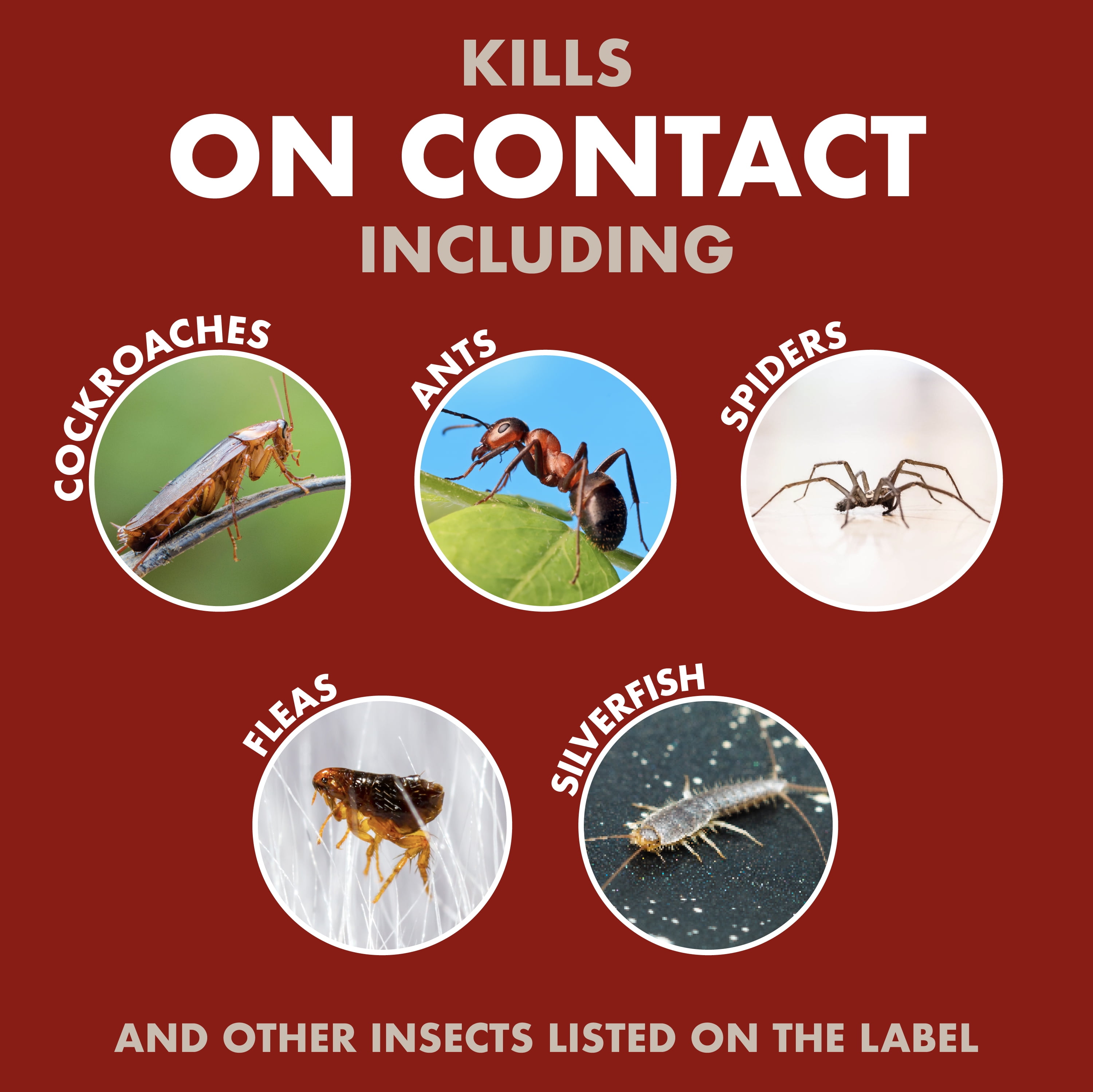 Spectracide Bug Stop Home Barrier Insect Control Spray (Clear, 128 fl oz) jhmfq