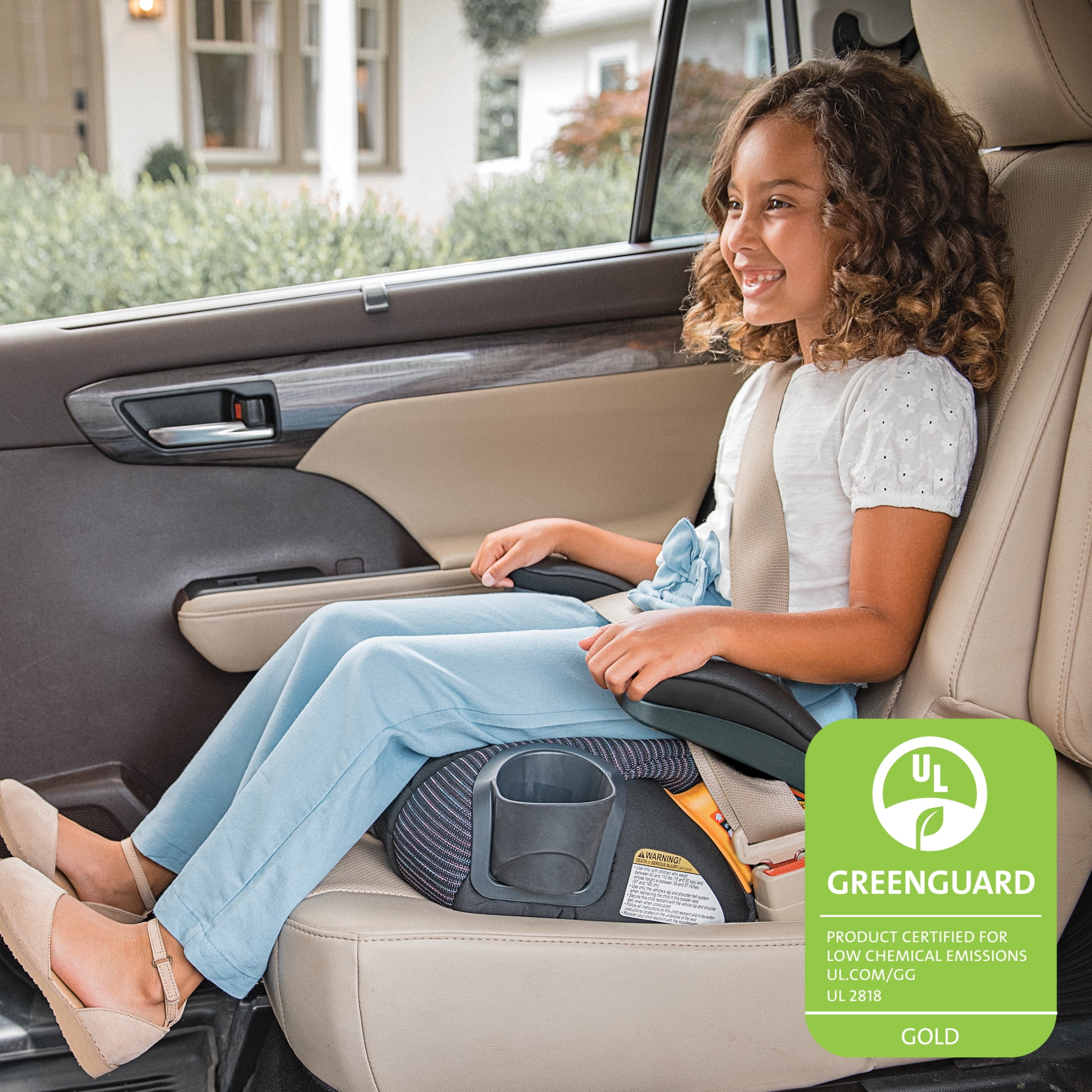 Chicco GoFit ClearTex Plus Backless Belt-Positioning Booster Car Seat (Static Black) g0thy