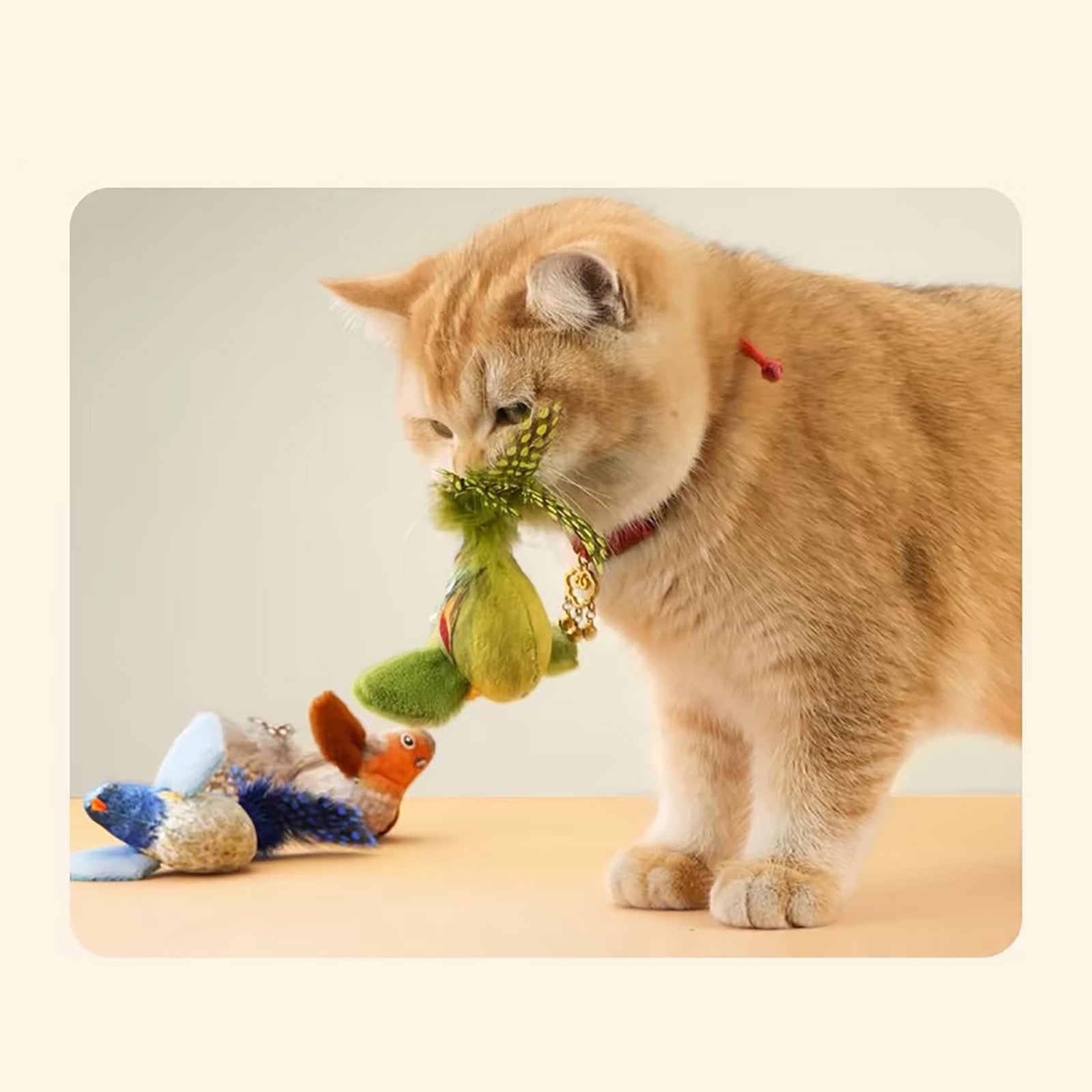 Infidev Interactive Flying Bird Cat Toy, Electric Flapping Wing Simulation Sparrow with Chirping Sound (Green, 1 Pack) 8y2wb