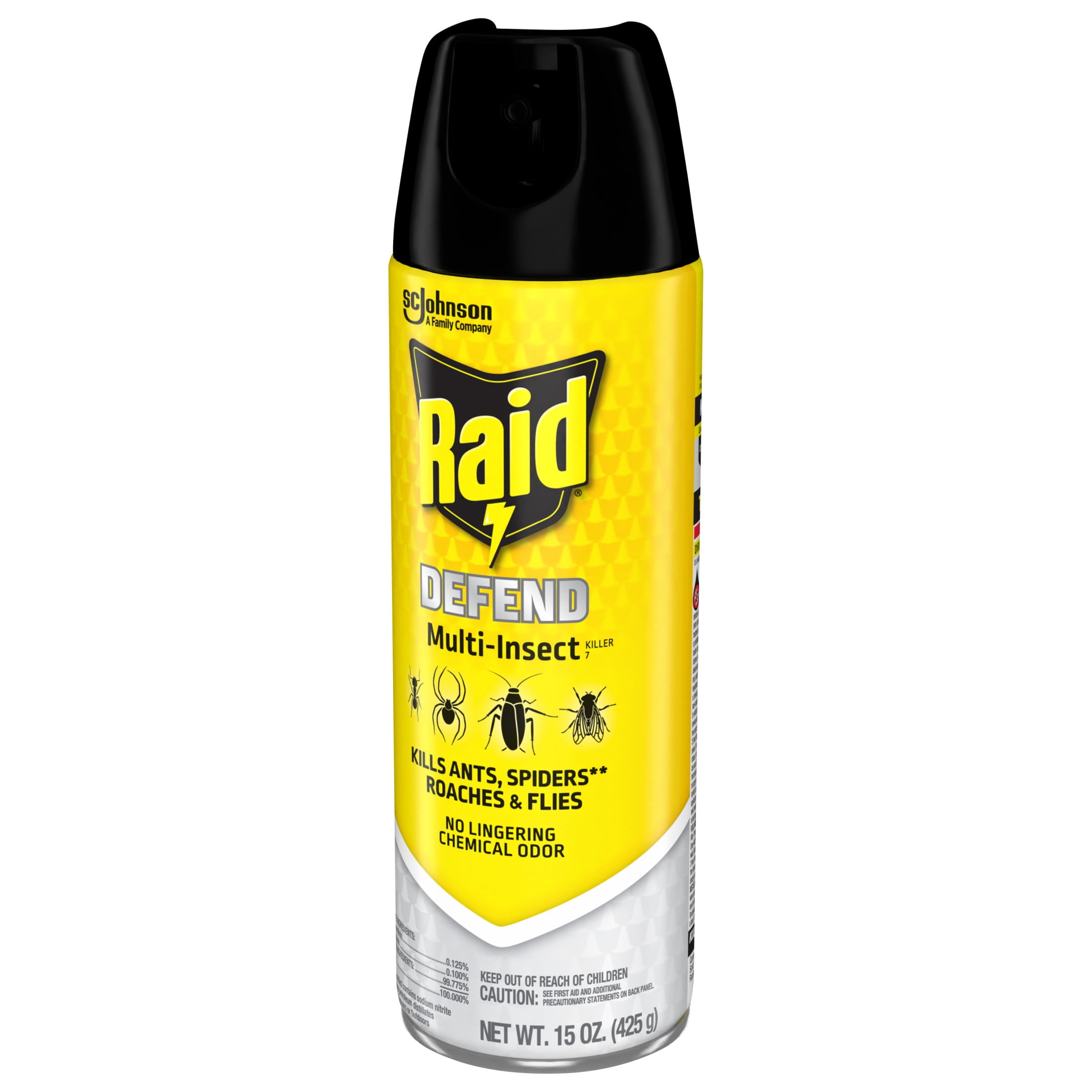 Raid Multi-Insect Killer Spray for Indoor and Outdoor Use (15 oz) ikq5t