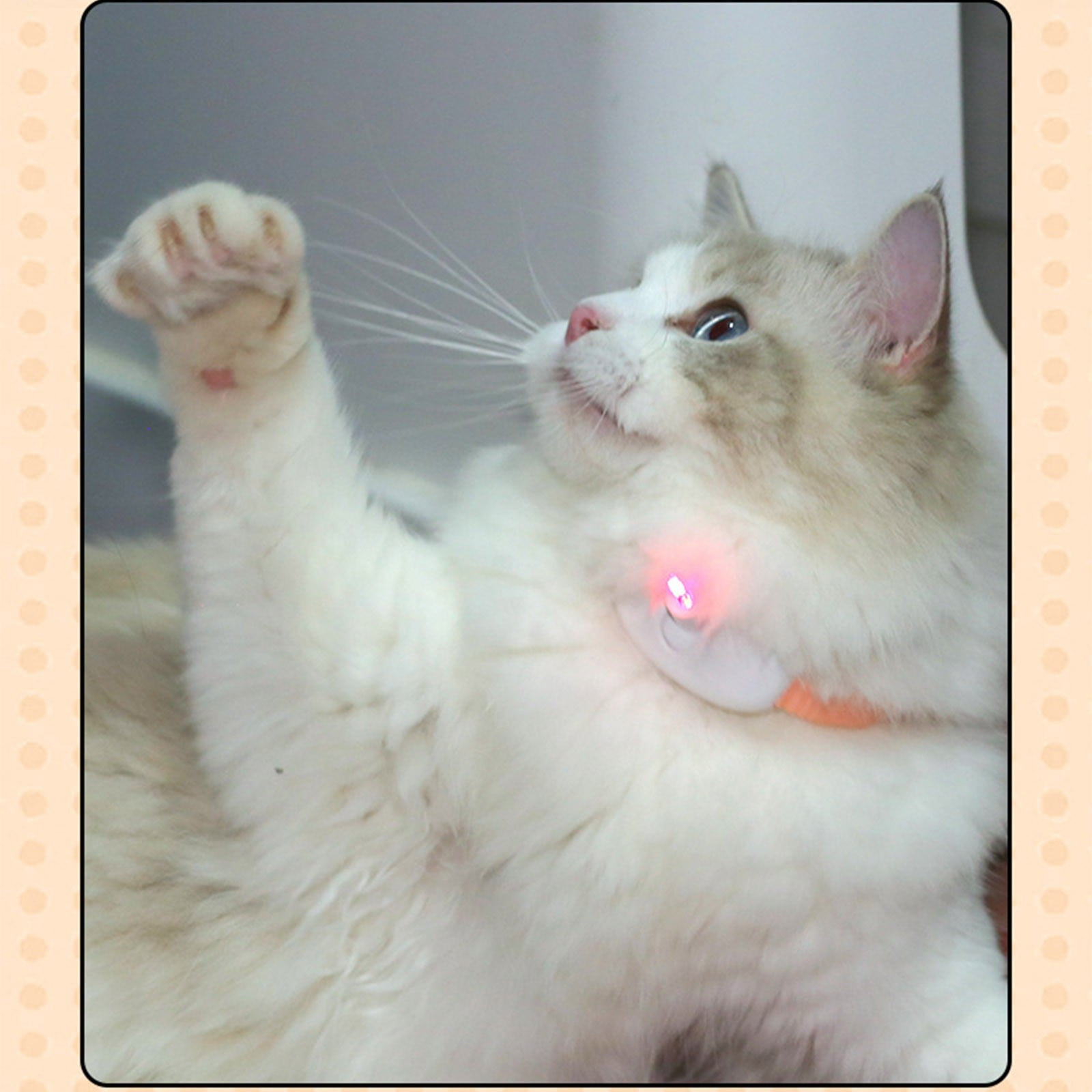 WLOELOEW Automatic Laser Pointer Cat Collar, Interactive Wearable Pet Toy, USB Rechargeable (Mint Green, 0.2 lb) fq4le