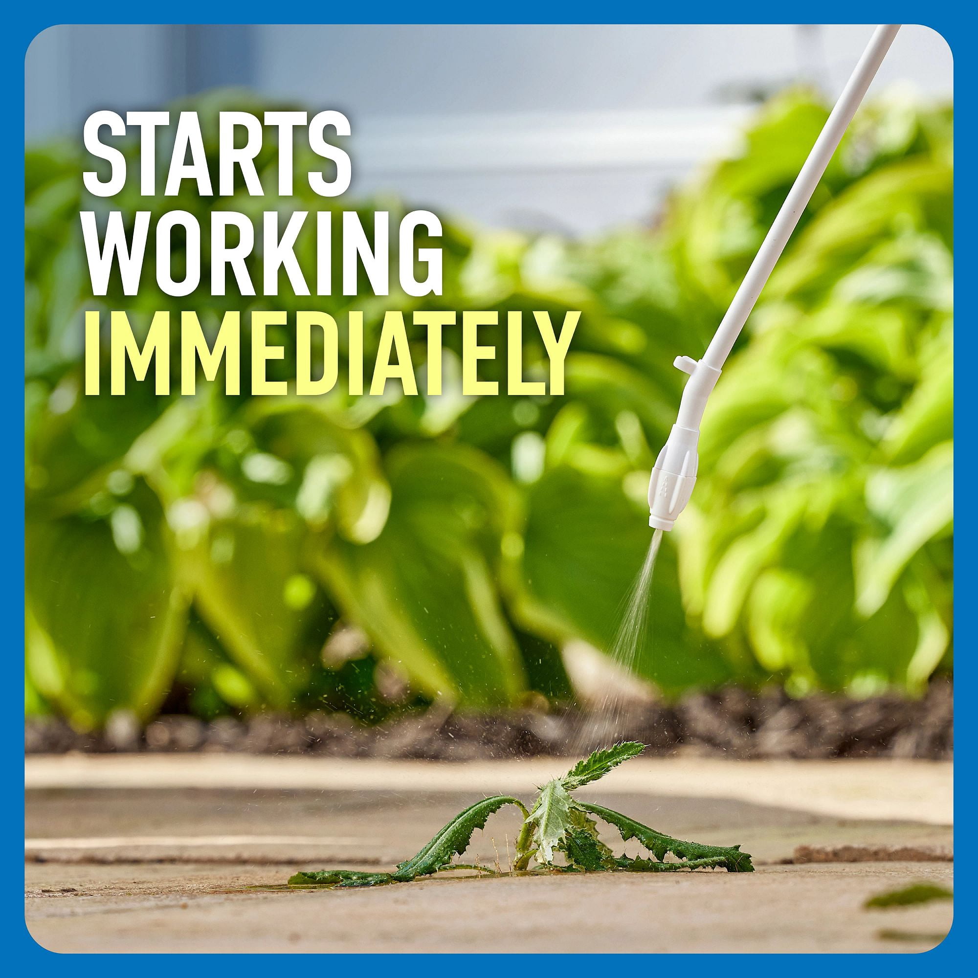 Roundup Weed and Grass Killer4 with Comfort Wand for Landscapes and Hardscapes (1 gal) nsu13