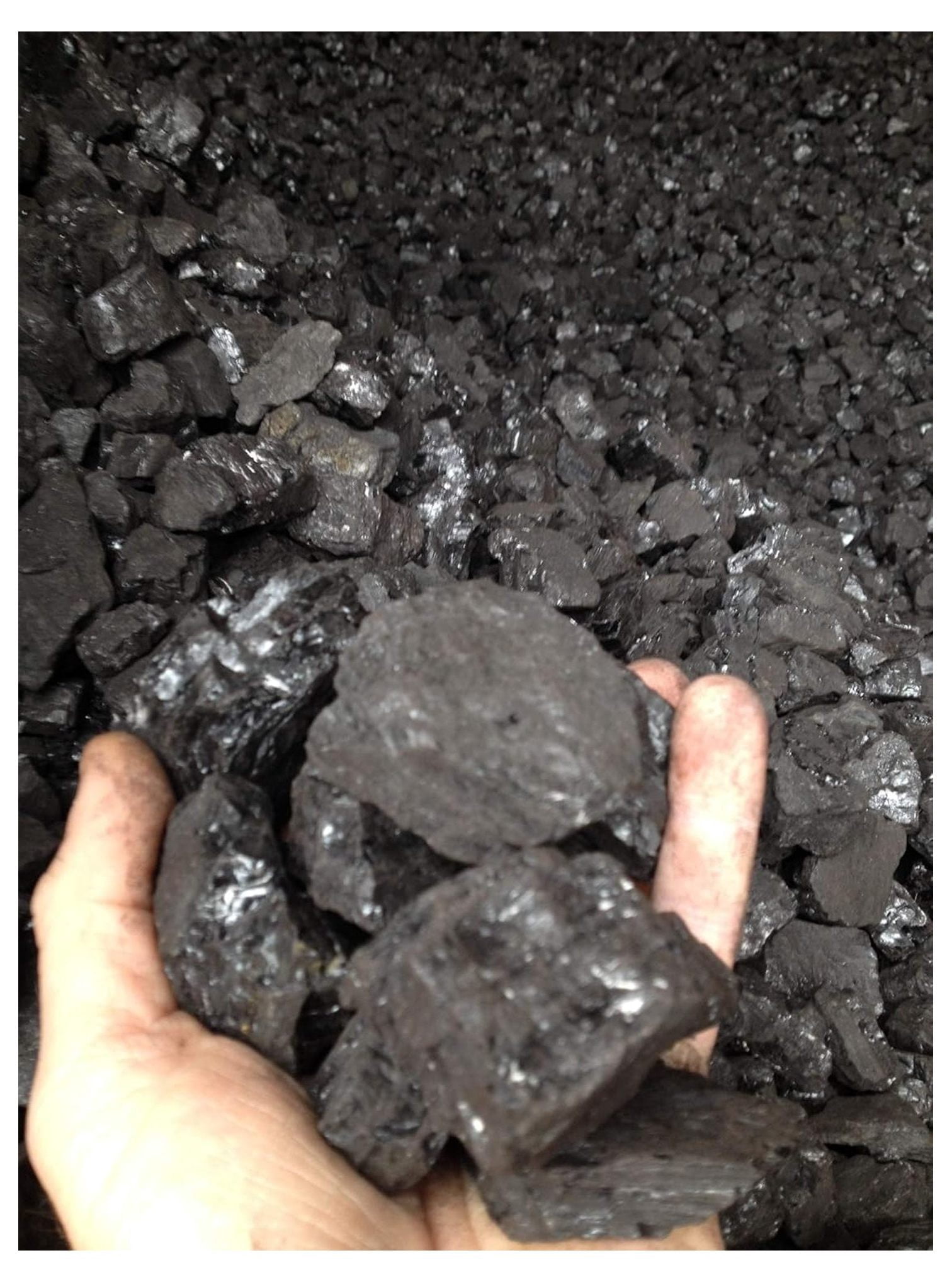 JZGLWAL Blacksmithing and Heating Coal Fuel (Premium Lump Chunks, 25 lb) 5g0f2