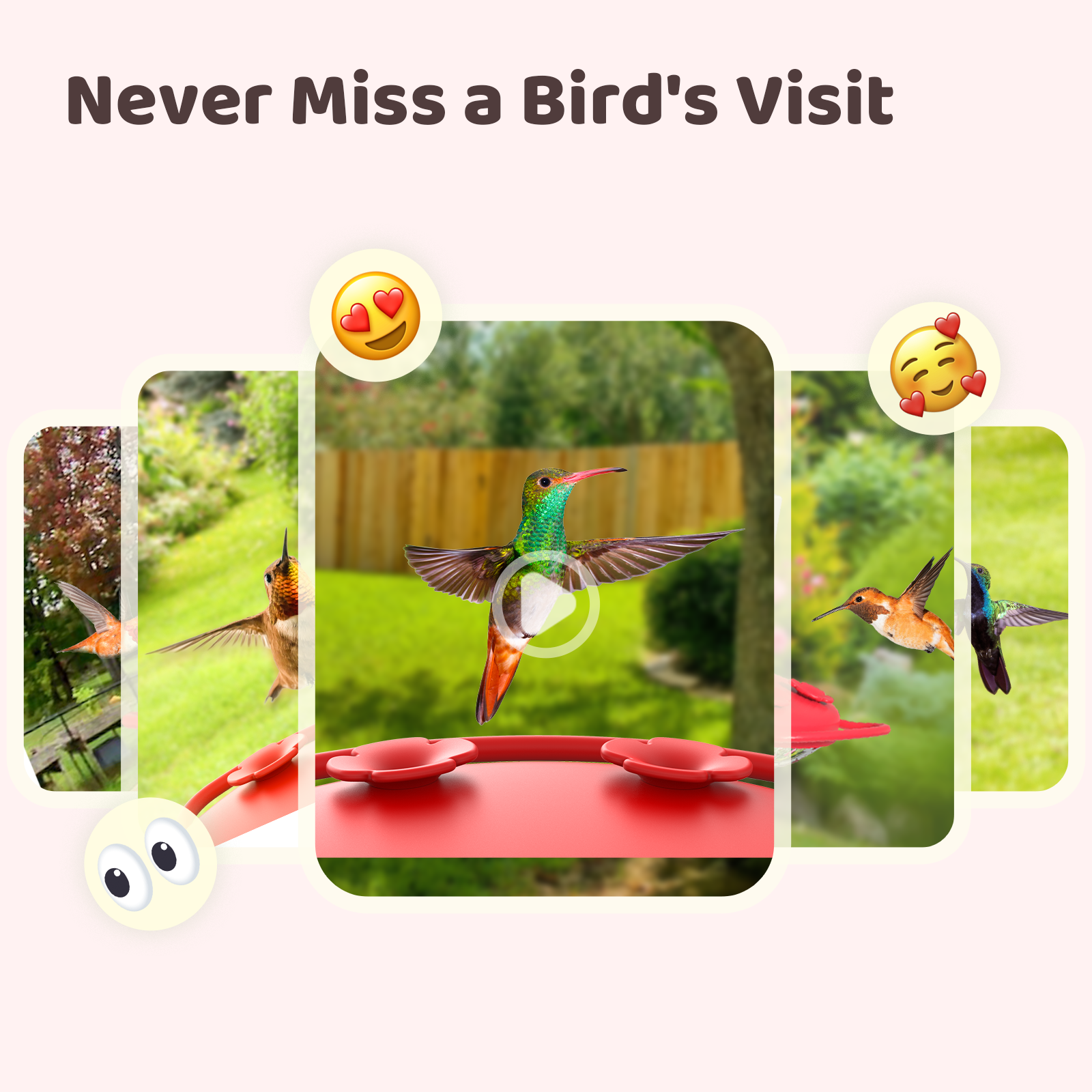 Birdfy Hummingbird Feeder with Camera, 1080P FHD Smart Bird Watching Station with AI Species Identification and Ant Moat (Red) wz3wt