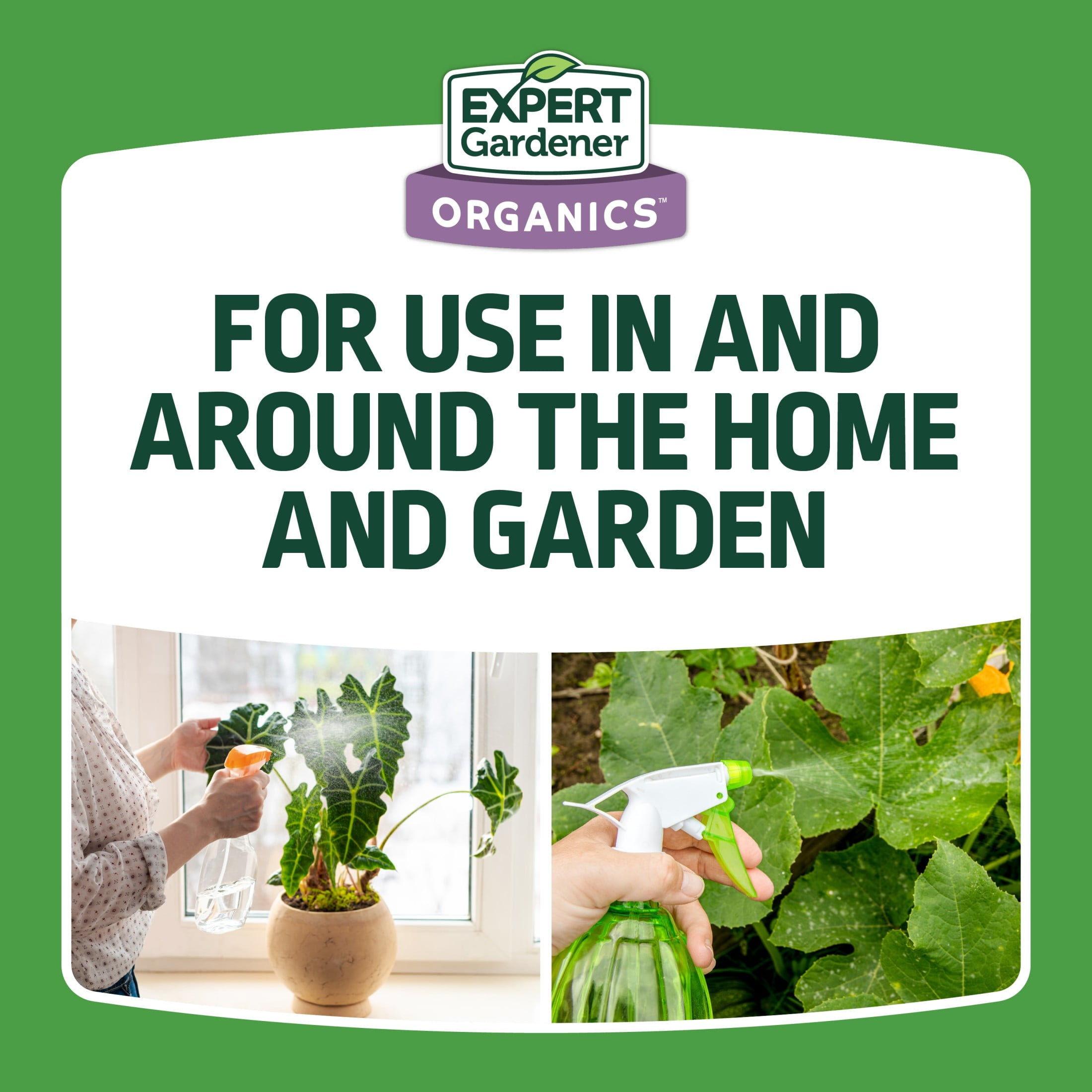Expert Gardener Neem Oil Ready to Use Insecticide Fungicide and Miticide (32 fl oz) yqe5y