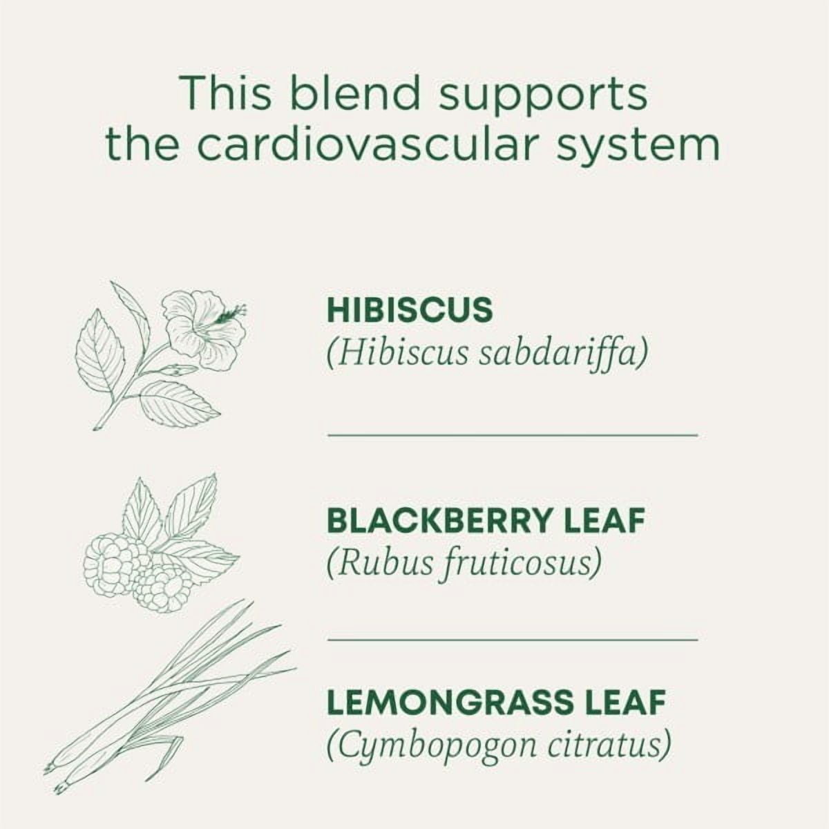 Traditional Medicinals Hibiscus Herbal Tea, Organic Caffeine-Free Tea Bags (16 Count) kdu0b