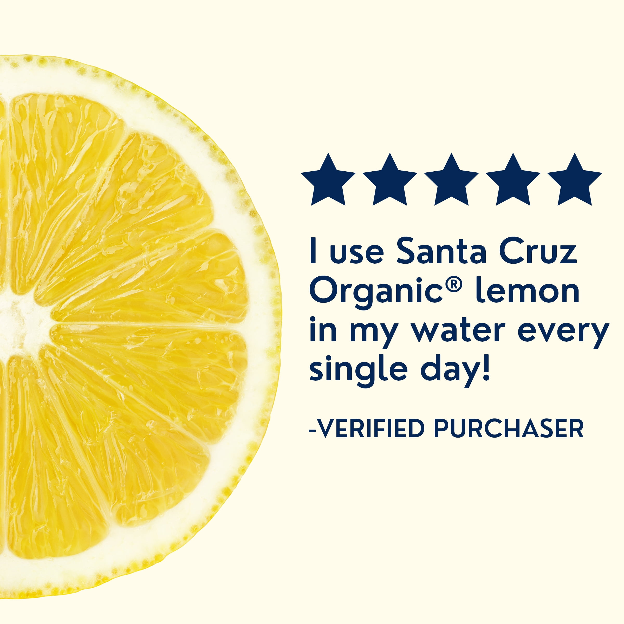 Santa Cruz Organic Pure Lemon Juice, Non-GMO Certified Organic (16 fl oz) 33468
