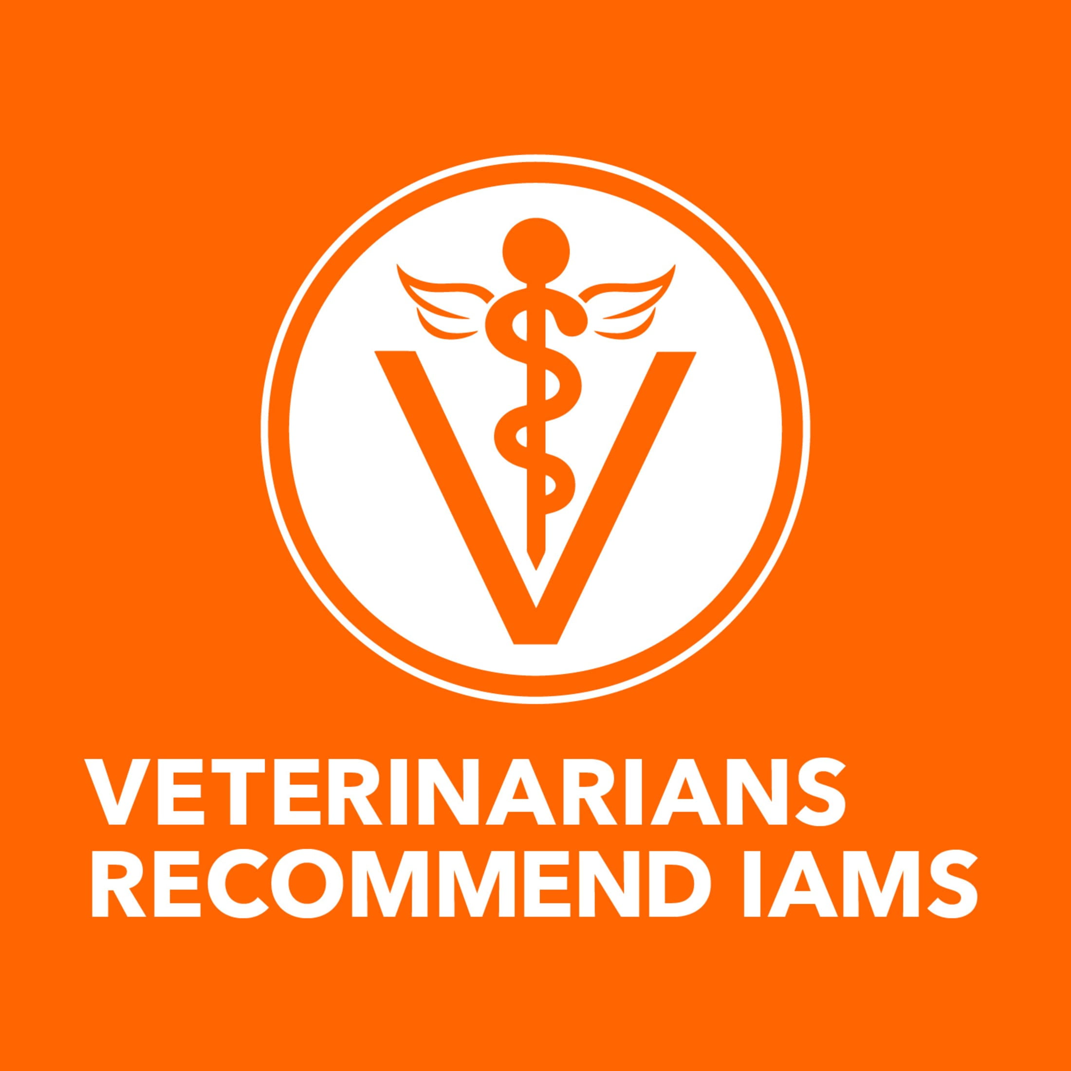 Iams Proactive Health Adult Dry Cat Food, Salmon Recipe (7 lb) xc9cr