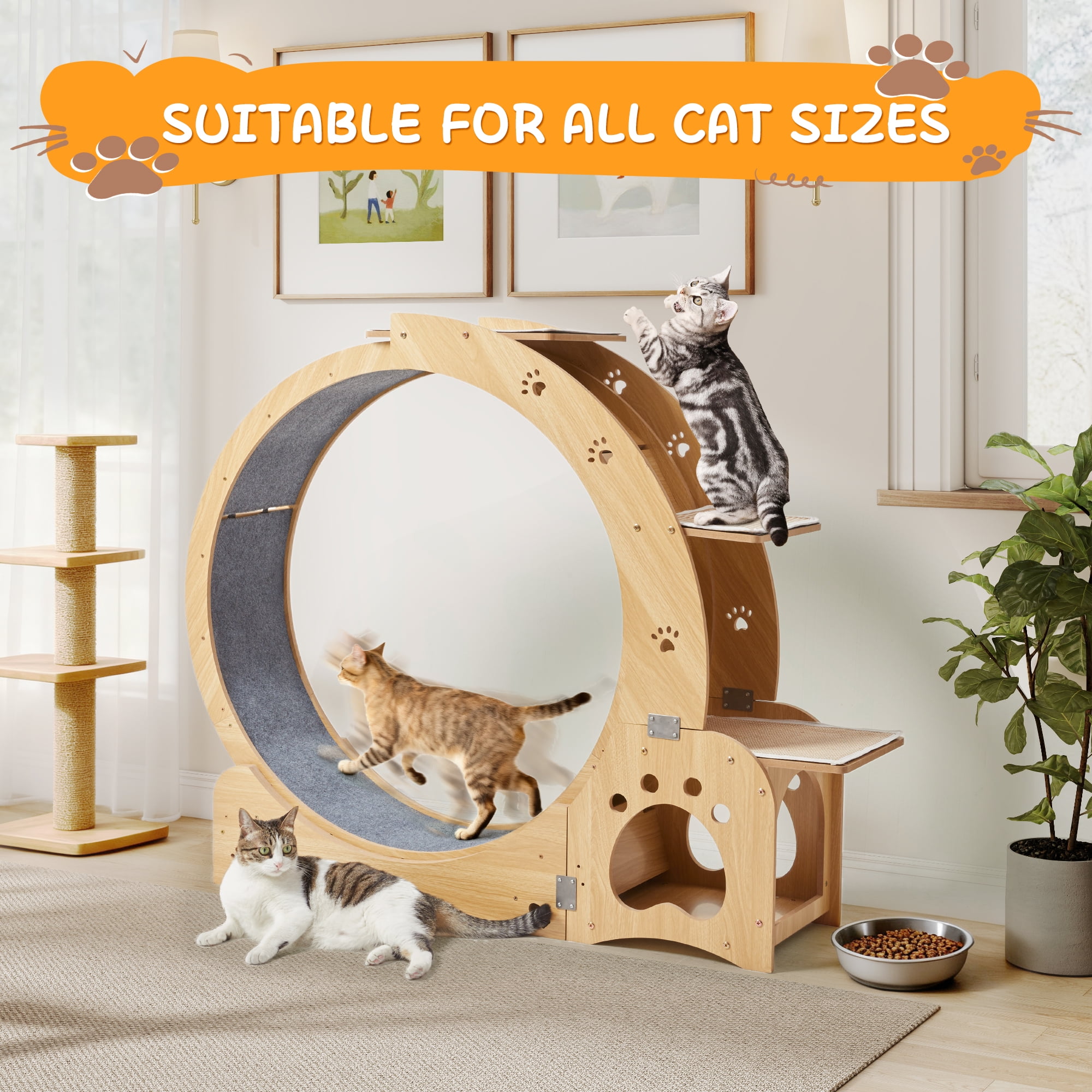JXXRZ 5-in-1 Cat Exercise Wheel and Activity Center, Silent Indoor Cat Treadmill with Scratching Pad (43.7 in) 70ka7