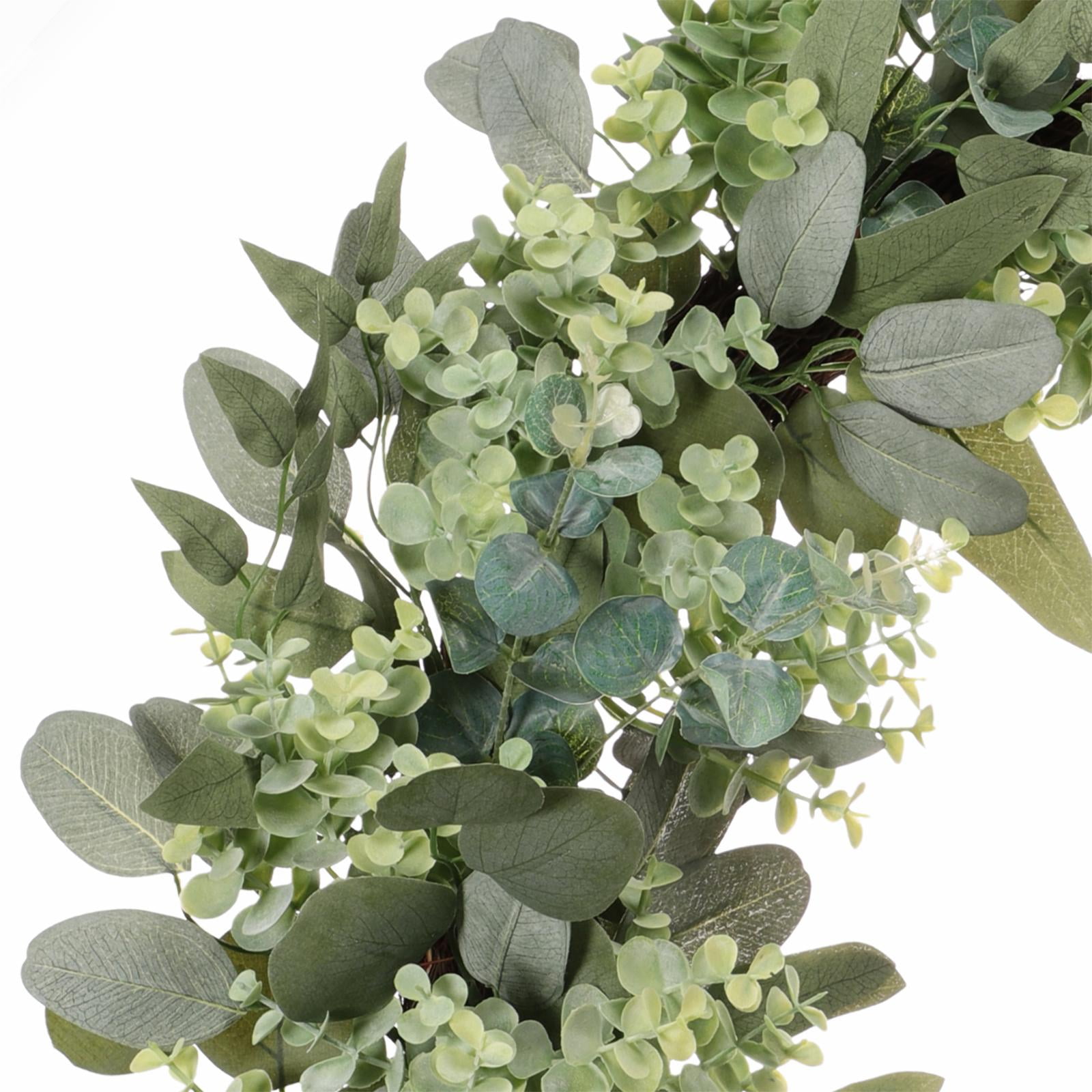 Puleo International Artificial Eucalyptus Spring Wreath with Creeping Jenny Leaves (Green, 30 in) 7bo0p