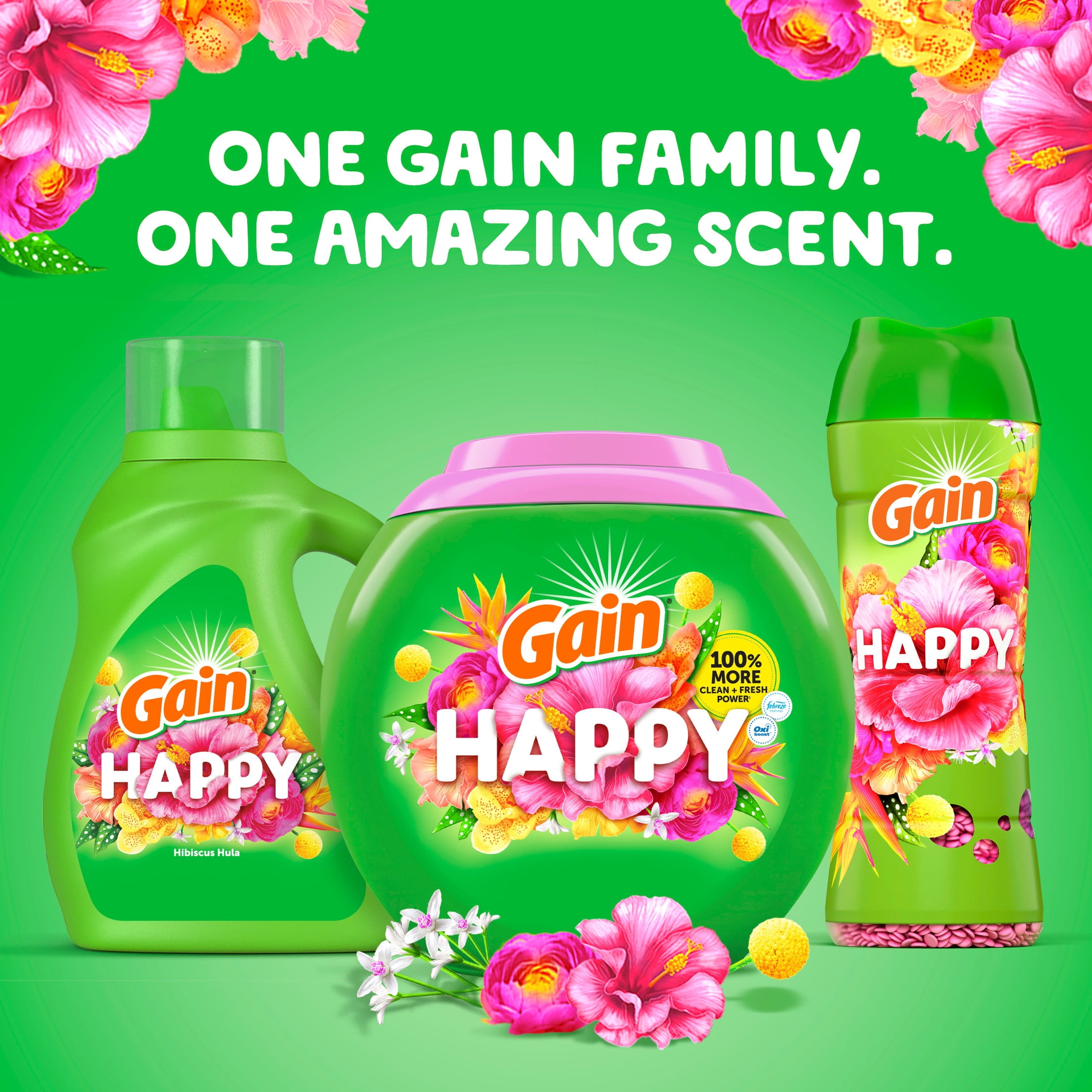 Gain In-Wash Laundry Scent Booster Beads, Hibiscus Hula Fragrance (24 oz) isle4