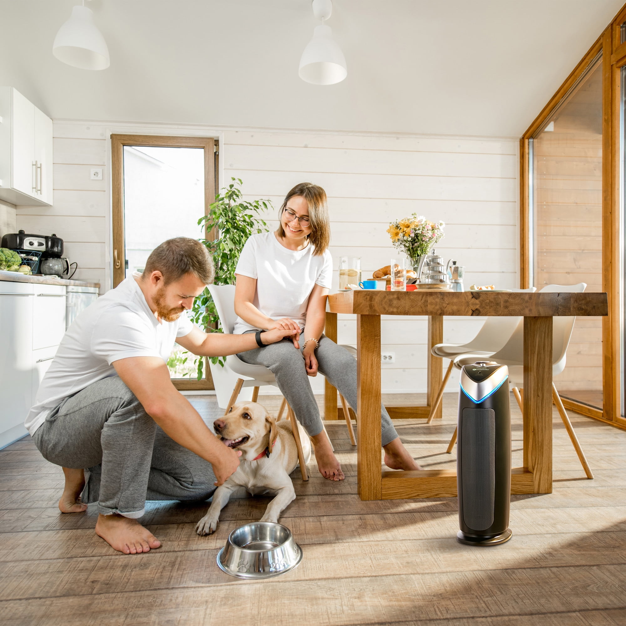 GermGuardian HEPA Tower Air Purifier with UV-C Light for Large Rooms (Gray, 743 sq. ft.) dh974