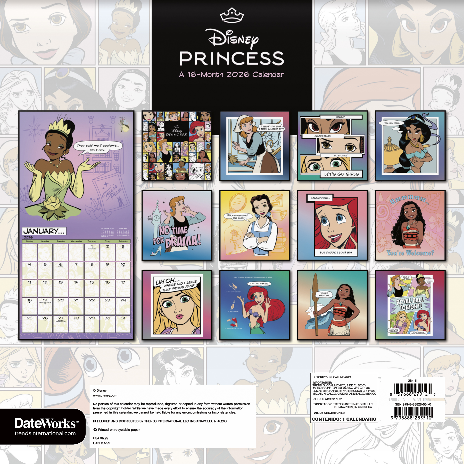 Trends International Disney Princess 2026 Wall Calendar (16-Month, 12 in x 12 in) znubi