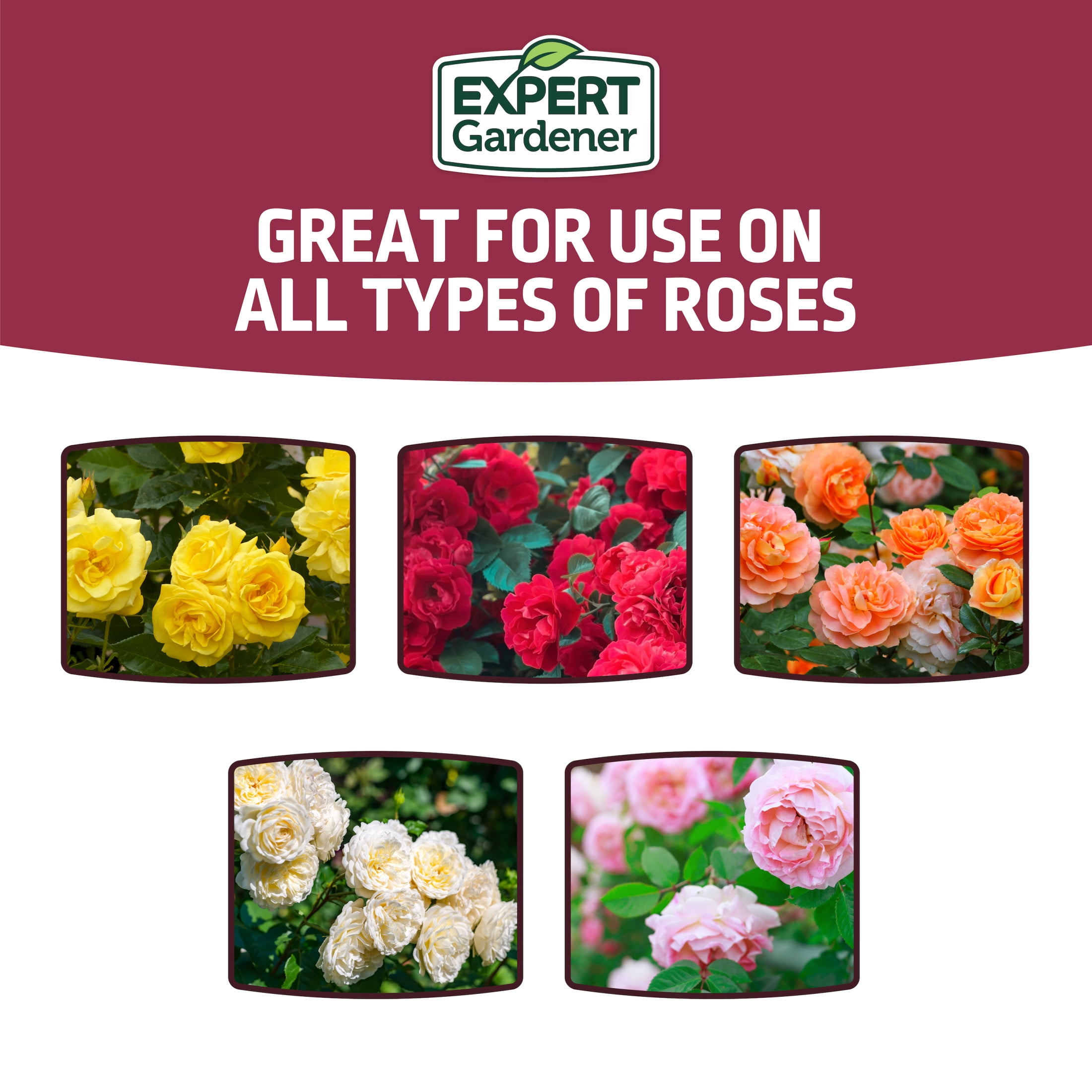 Expert Gardener Rose Plant Food Fertilizer (12-6-10, 4 lb) fbo5f