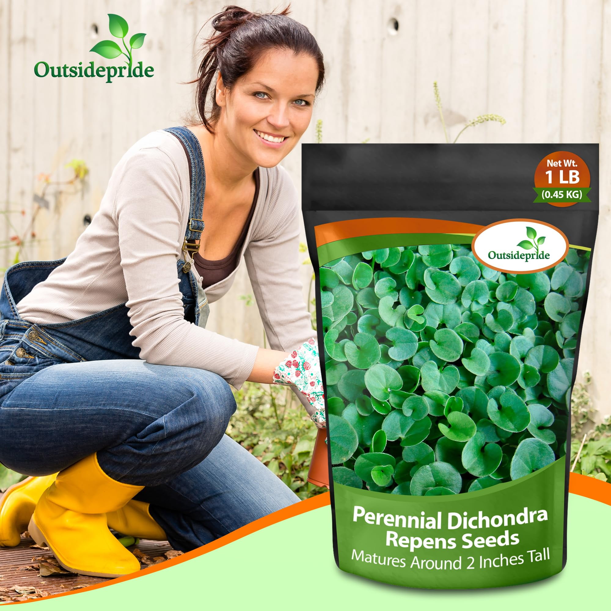 Outsidepride Dichondra Repens Ground Cover Seeds (Green, 1 lb) 8456c