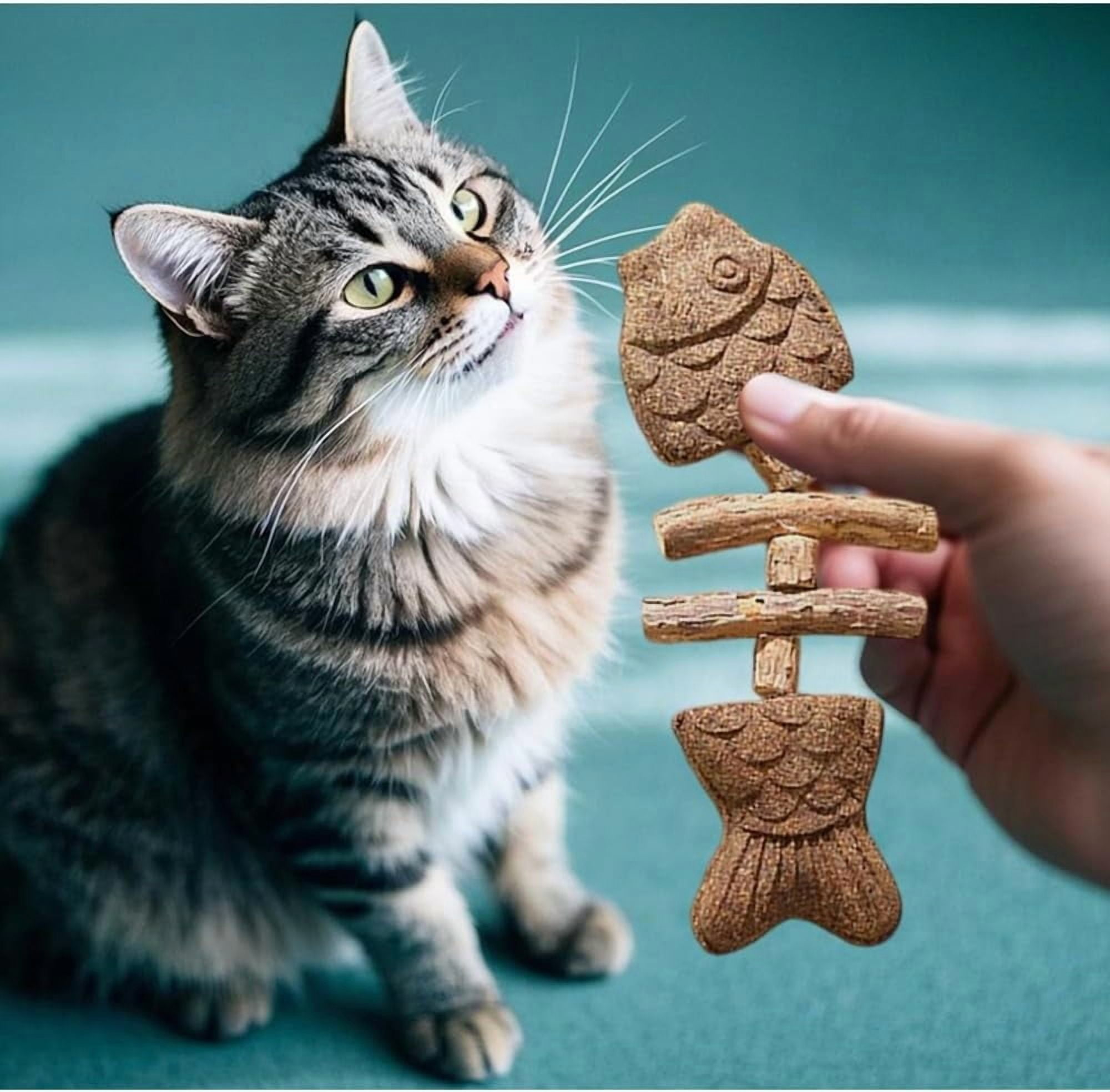 XIAXIAJ Cat Dental Toy Fish Bone Shape Natural Catnip and Silver Vine Stick (3pcs) cwmou