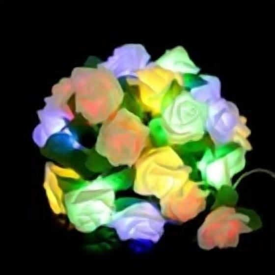 PURELY 20 LED Rose Flower String Lights Decorative Fairy Lighting for Wedding Party and Garden (Warm White, 7 ft) dlo4g