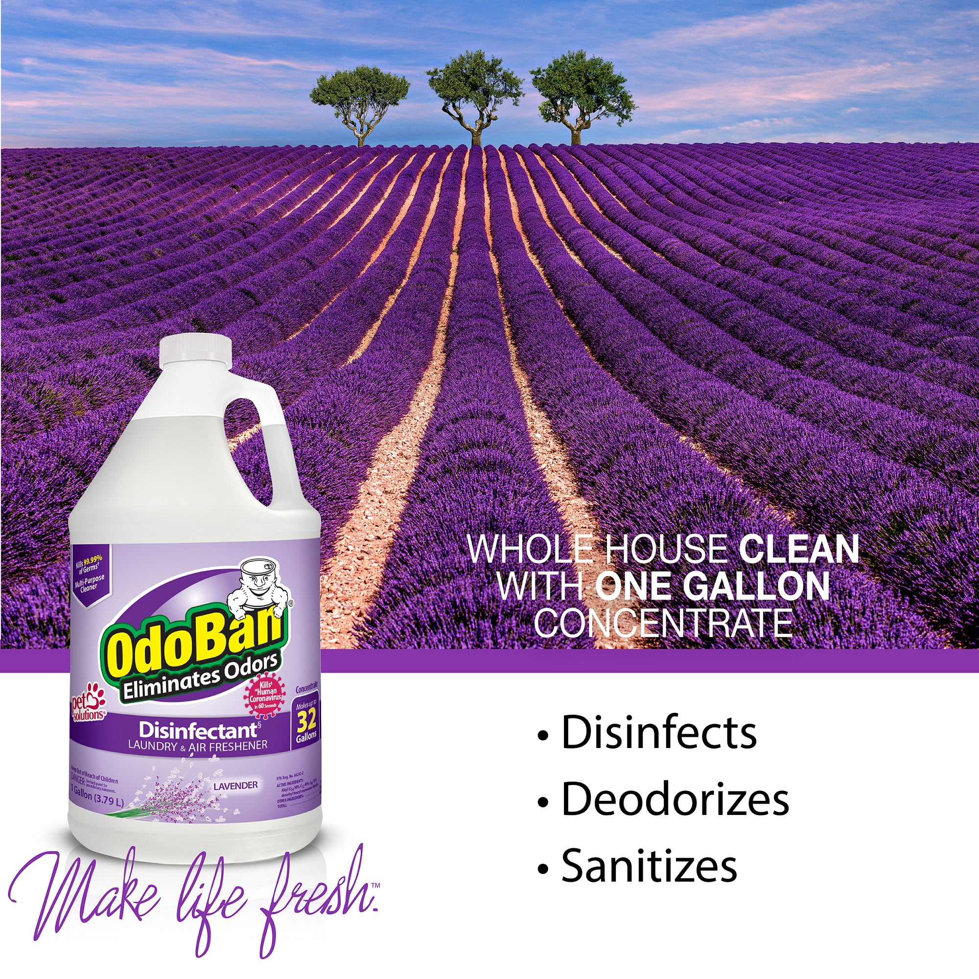 OdoBan Disinfectant Concentrate and Odor Eliminator, Multi-Purpose Cleaner (Lavender Scent, 256 fl oz) 2vssa