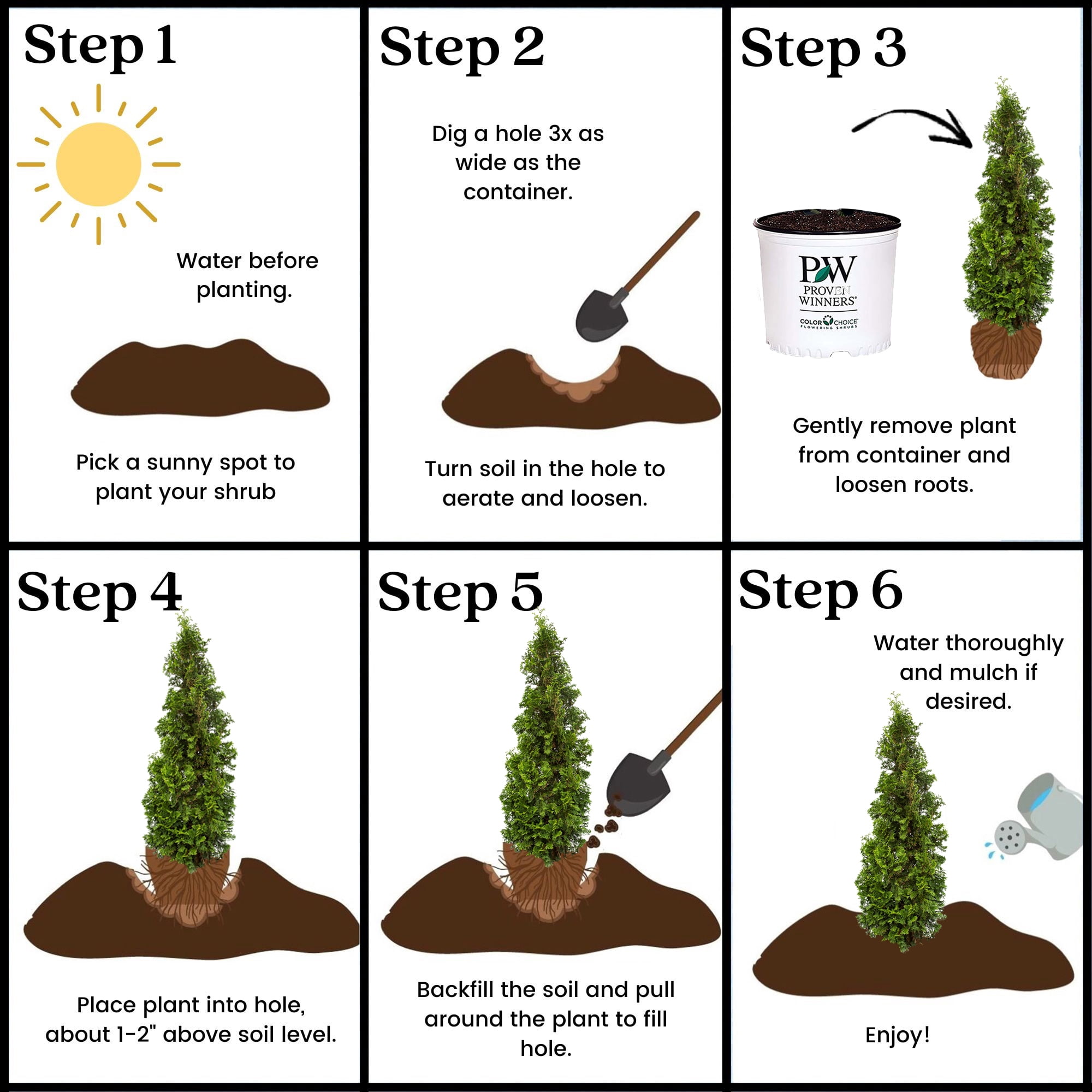 Proven Winners ColorChoice Sting Arborvitae Live Shrub (Green, 2 Gallon) d8wci