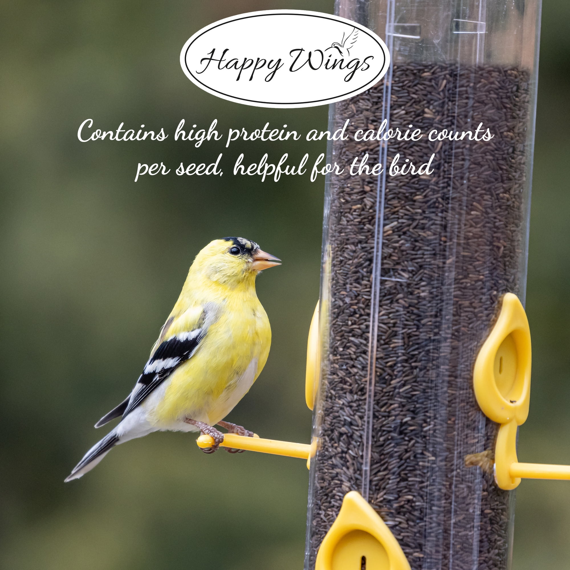 Happy Wings Thistle Seed Prefilled Bird Feeder Sock (Nyjer Seed, 13 oz) 6oc7o