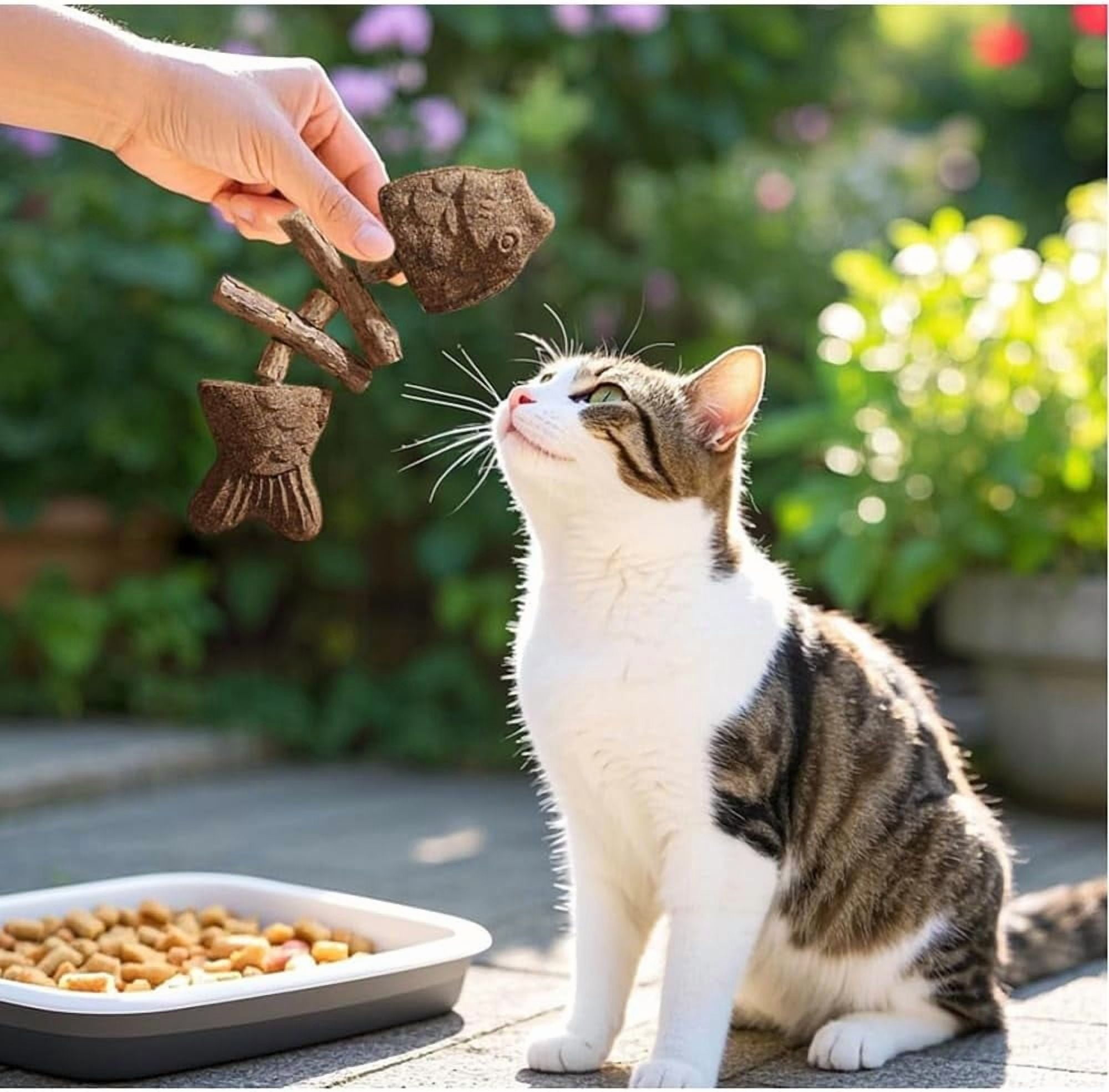 XIAXIAJ Cat Dental Toy Fish Bone Shape Natural Catnip and Silver Vine Stick (3pcs) cwmou