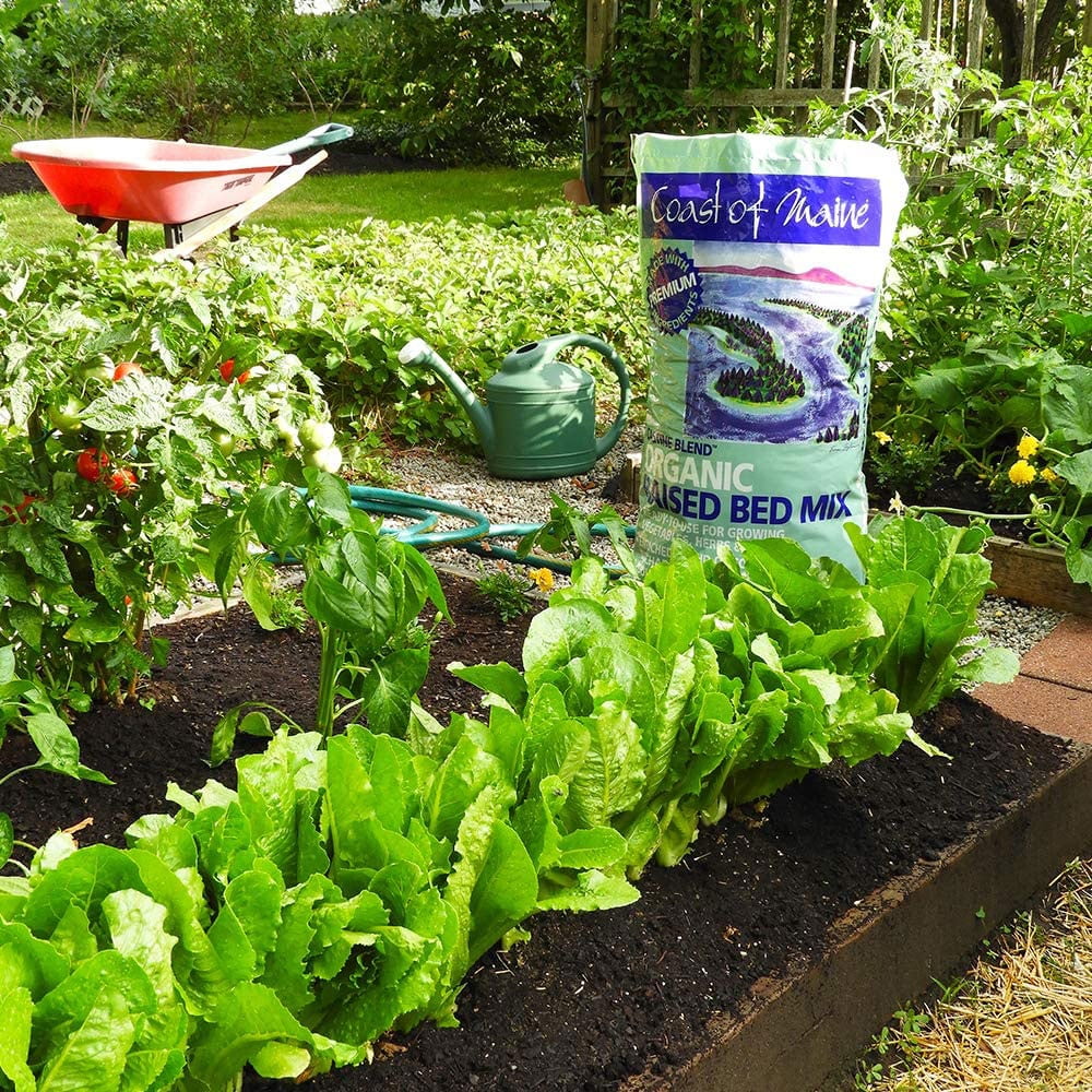 Coast of Maine Castine Blend Organic Raised Bed Mix (Natural Soil for Vegetables, Herbs & Flowers, 1 cu ft) 973k2