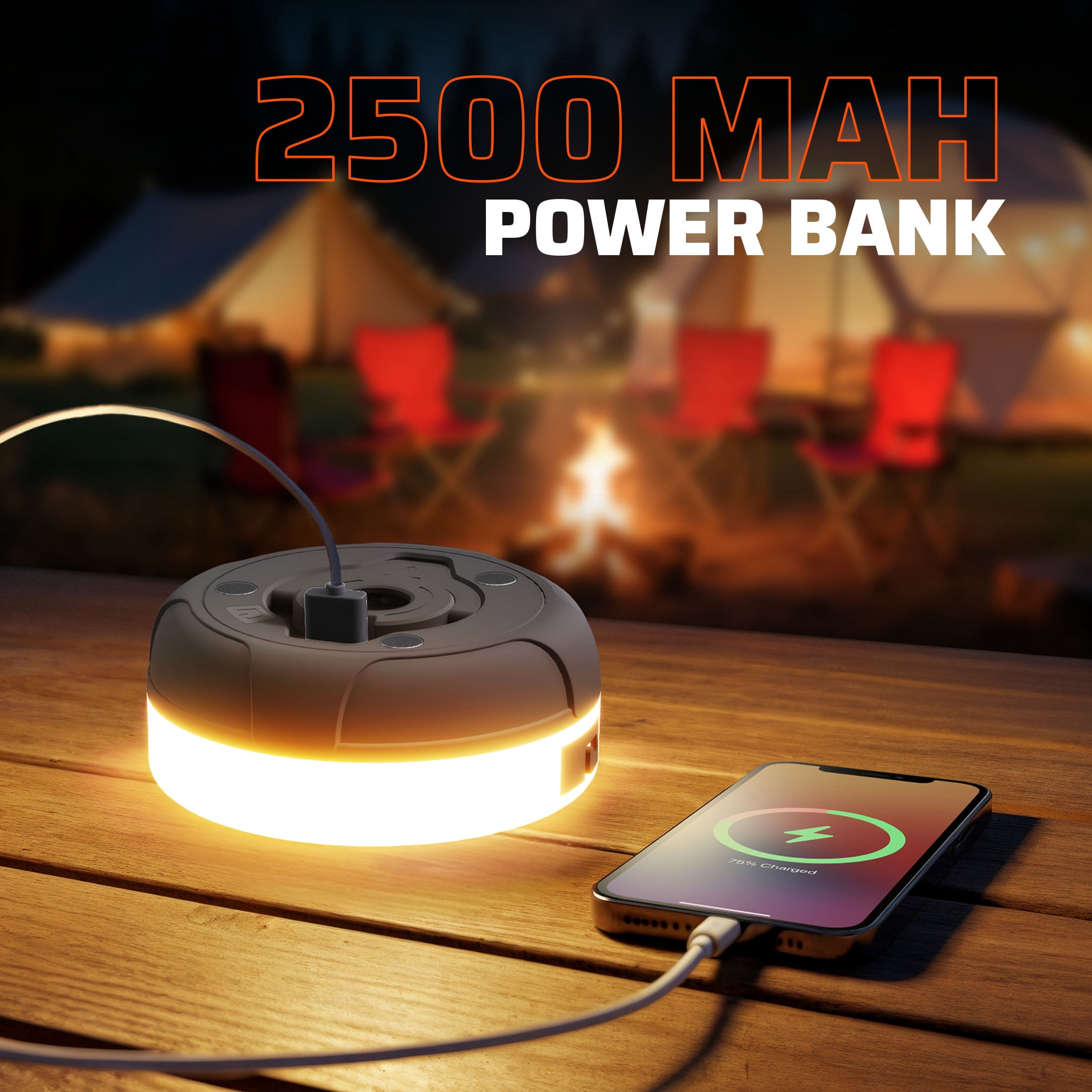 Roamcraft Portable LED Camping String Light with Power Bank (32 ft, 250 Lumens) 81nm6