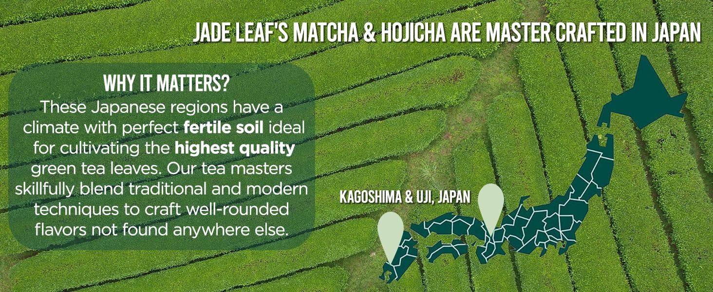 Jade Leaf Organic Hojicha Powder, Barista Edition, Roasted Green Tea (1.76 oz) qdc0r