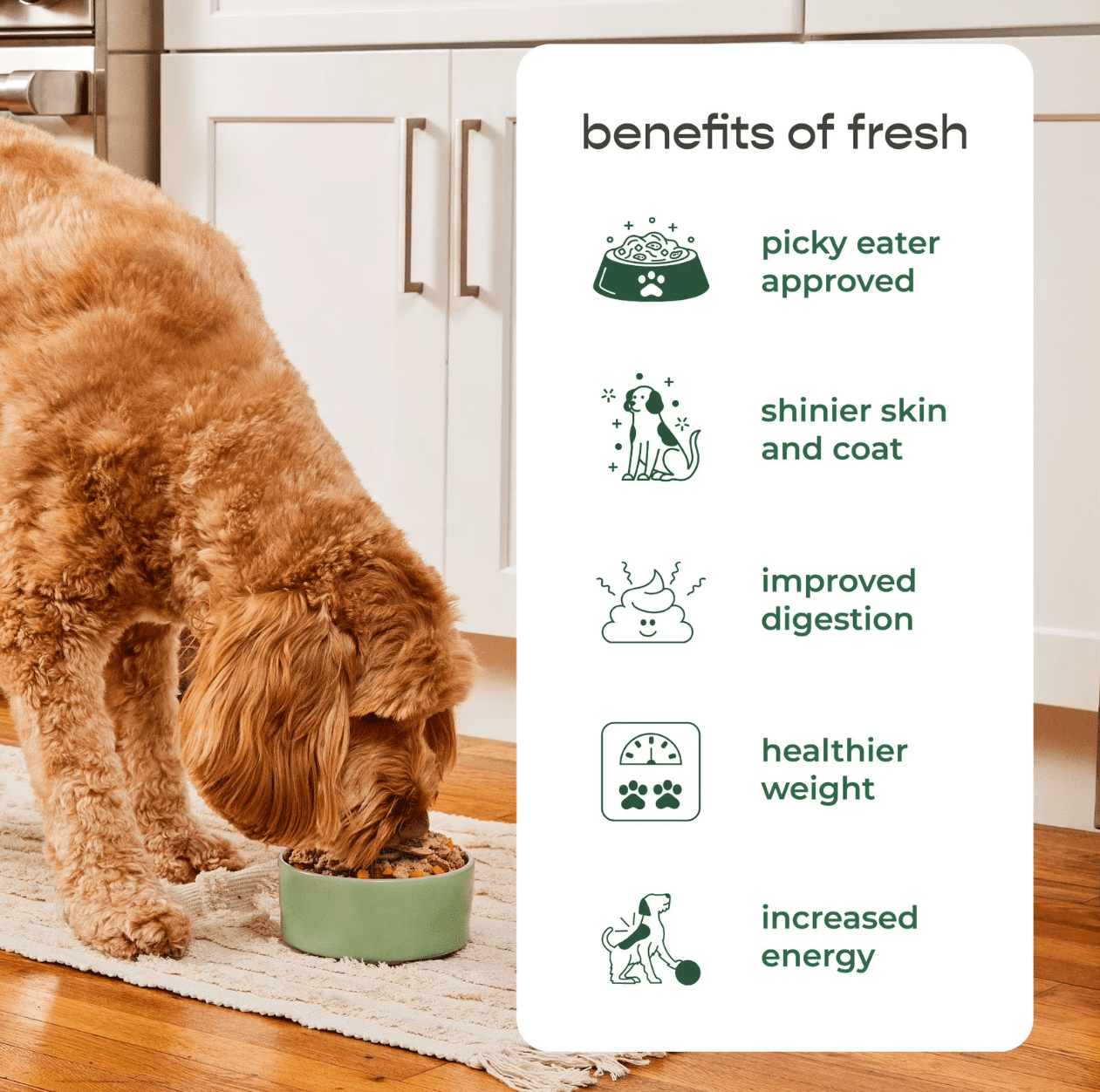 Freshpet Dog Joy Wood-Smoked Turkey Bacon Dog Treats (Natural Grain-Free Recipe, 3 oz) odx9k