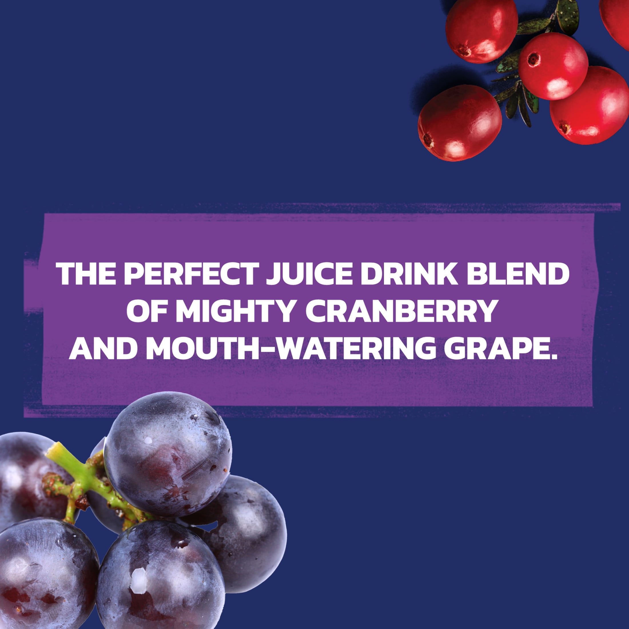 Ocean Spray Cran-Grape Cranberry Grape Juice Drink (6 Pack, 10 fl oz) ebims