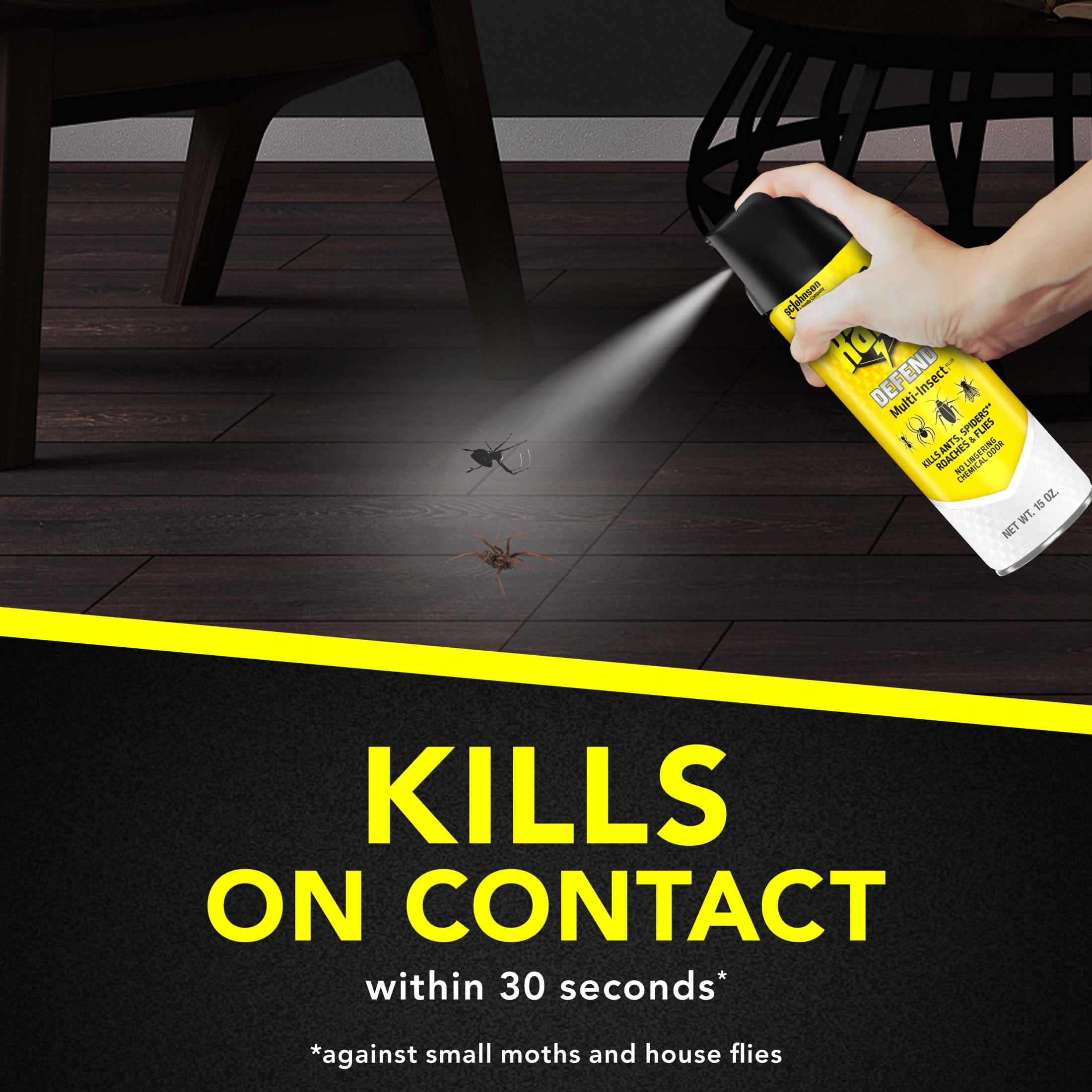 Raid Multi-Insect Killer Spray for Indoor and Outdoor Use (15 oz) ikq5t