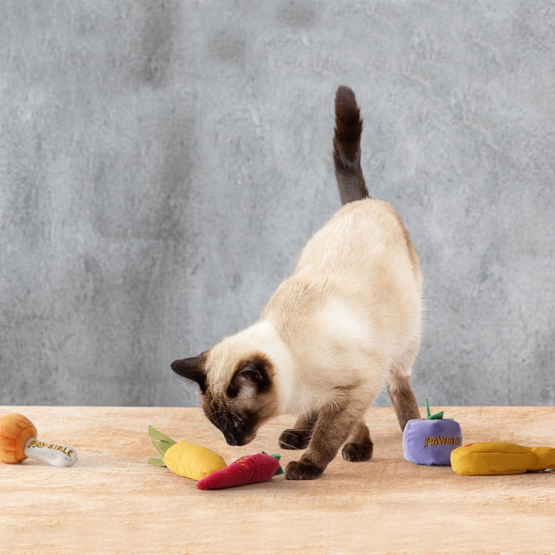 Pawsible Foodie Cat Toy Set, Organic Catnip Filled Plush Toys for Indoor Cats (Yellow, 5 Pack) ml609