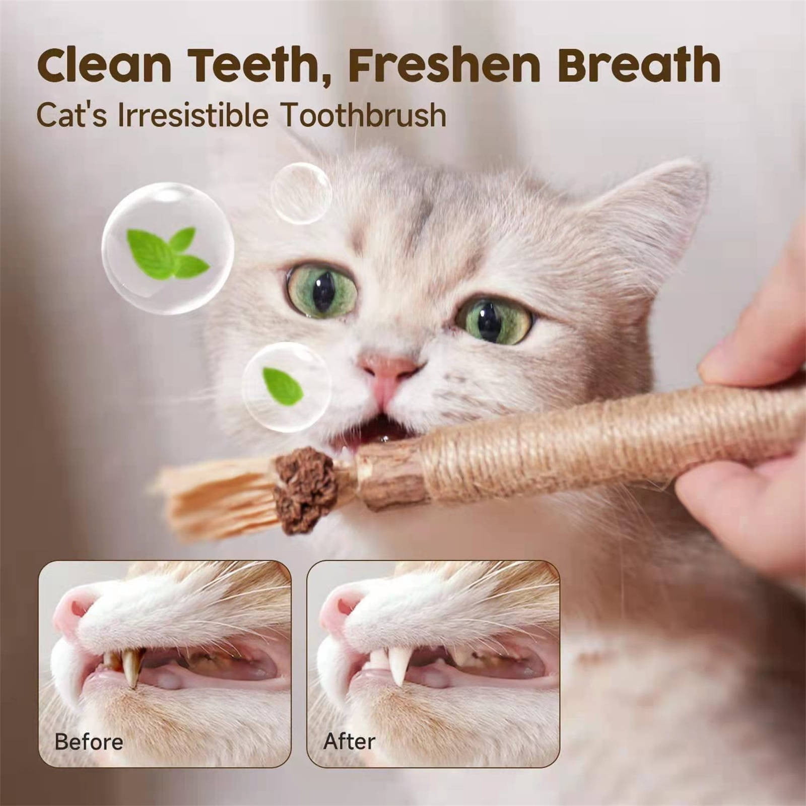 Holloyiver Natural Silvervine Sticks Cat Dental Chew Toy for Teeth Cleaning (5 Pack) 7k8vc