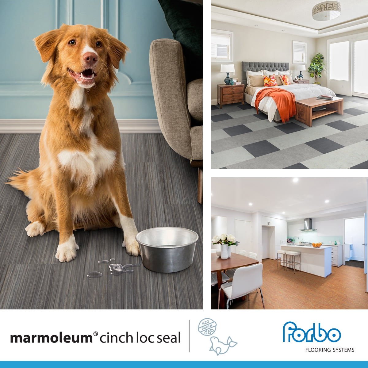 Marmoleum Cinch Loc Seal Laminate Flooring Tiles (Seashell, 11.81 in x 11.81 in, 6.78 sq ft) tbbbr